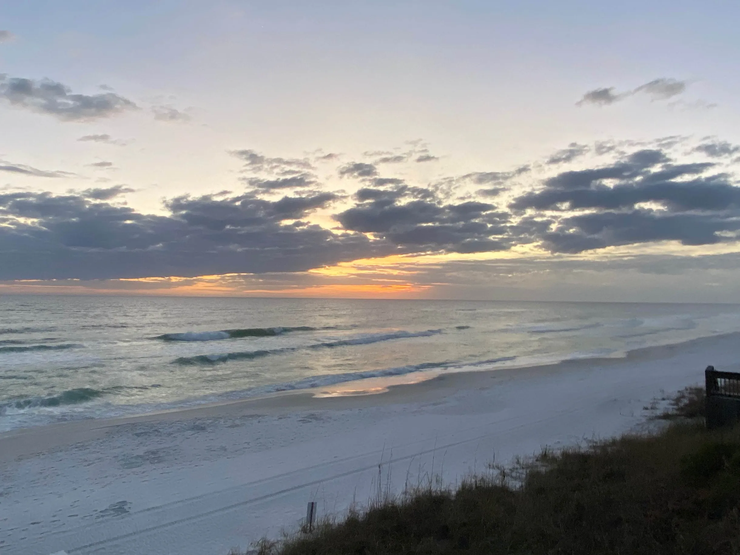 Wander Seacrest Oasis #48