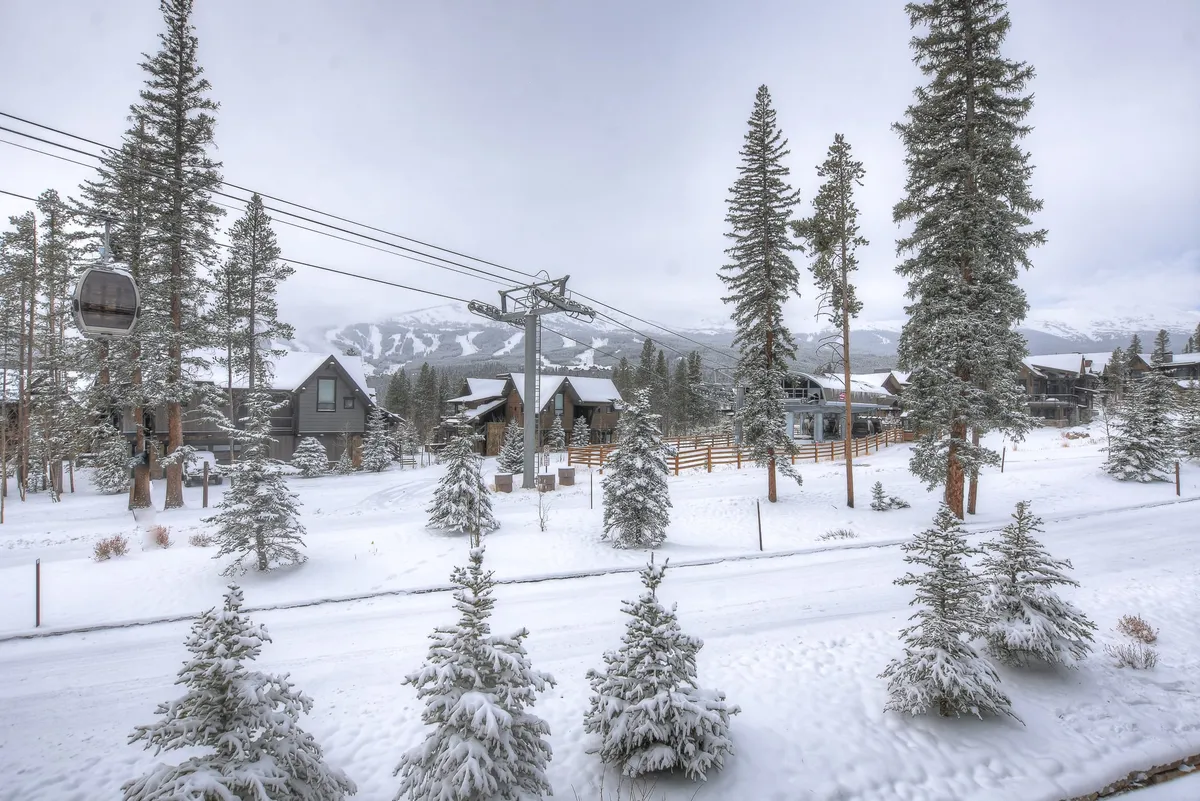 Wander Breckenridge Shock Hill #41