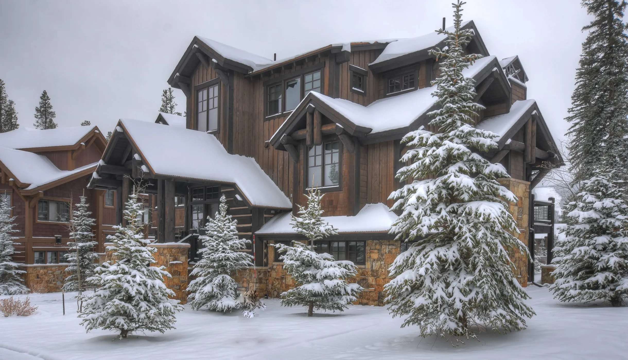 Wander Breckenridge Shock Hill #43