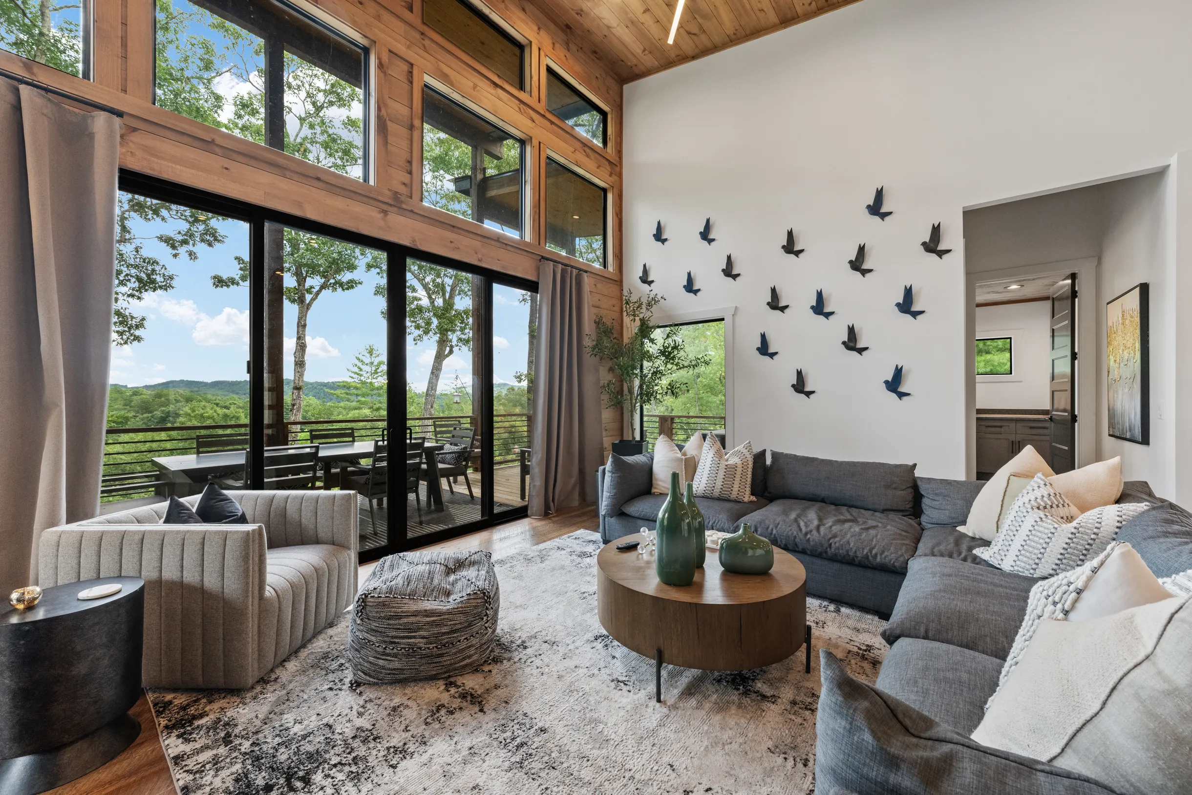 Wander Blue Ridge Stream #77