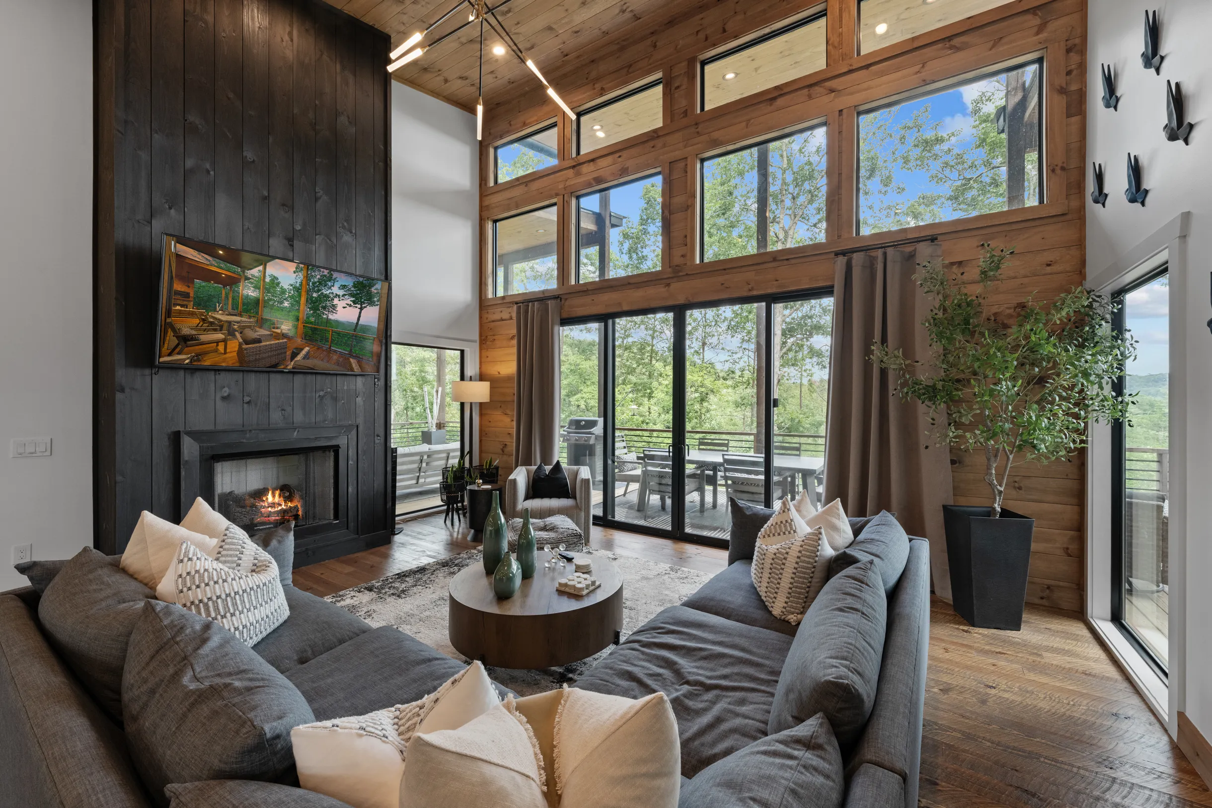 Wander Blue Ridge Stream #47