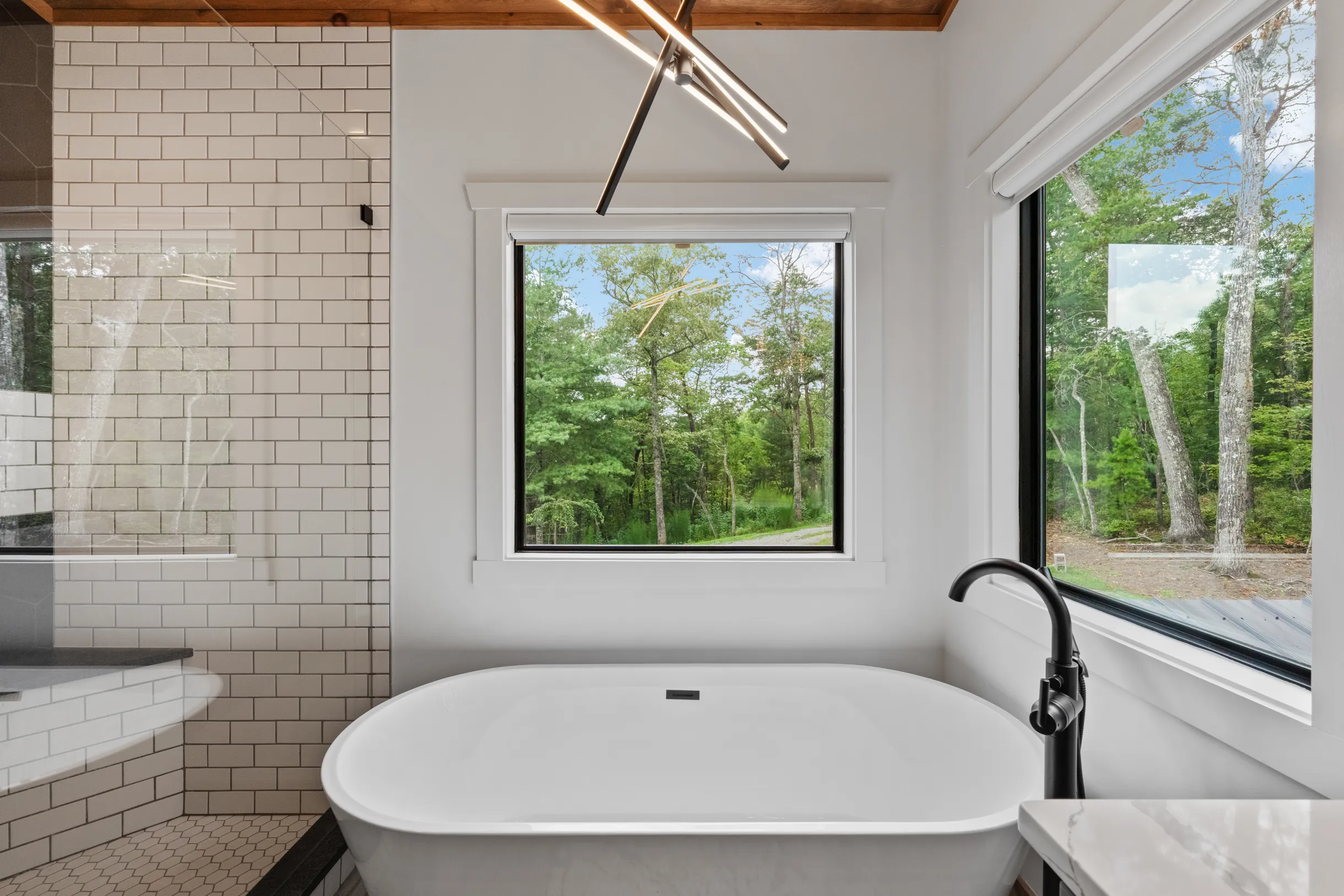 Wander Blue Ridge Stream #61