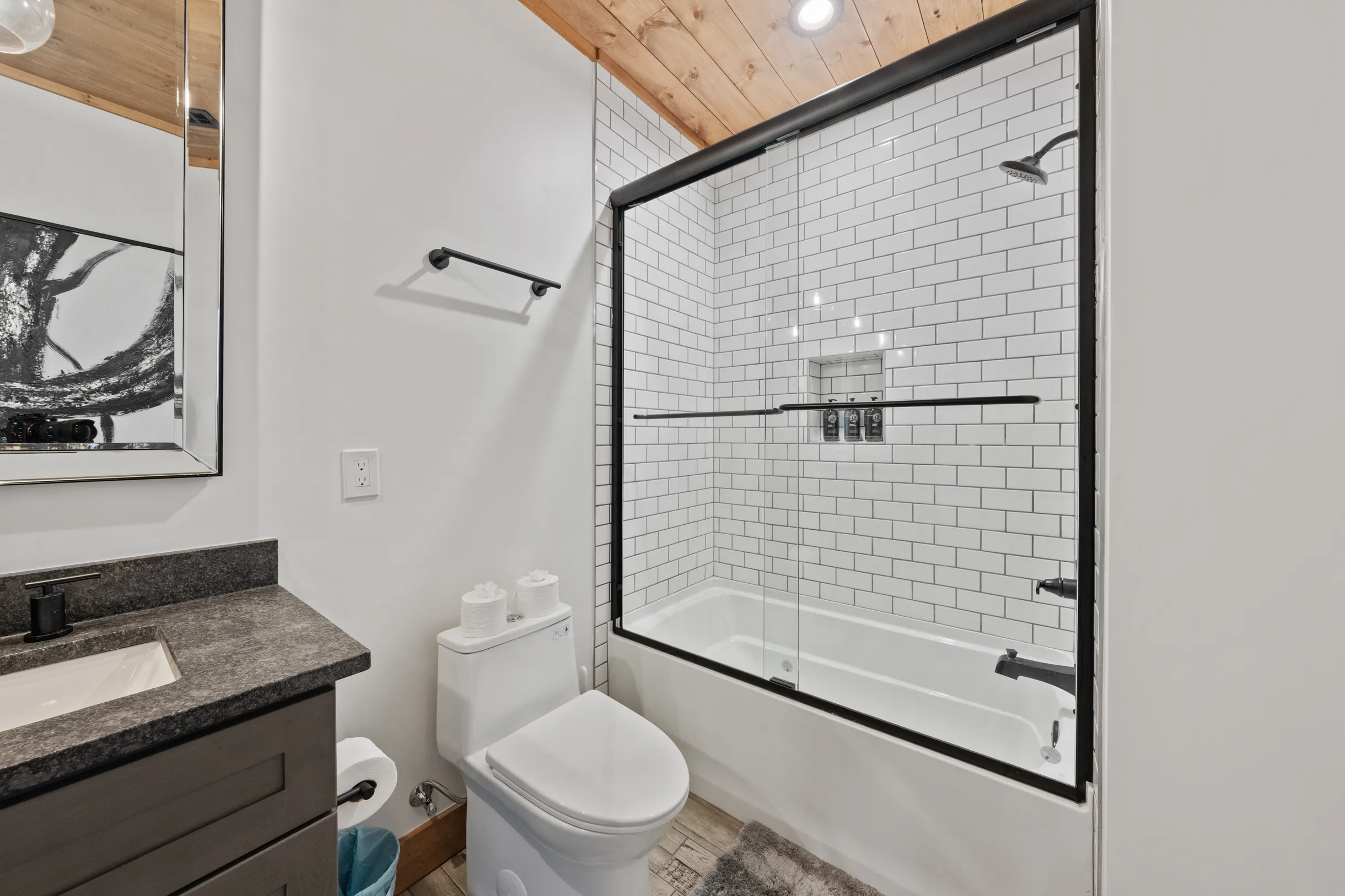 Wander Blue Ridge Stream #62