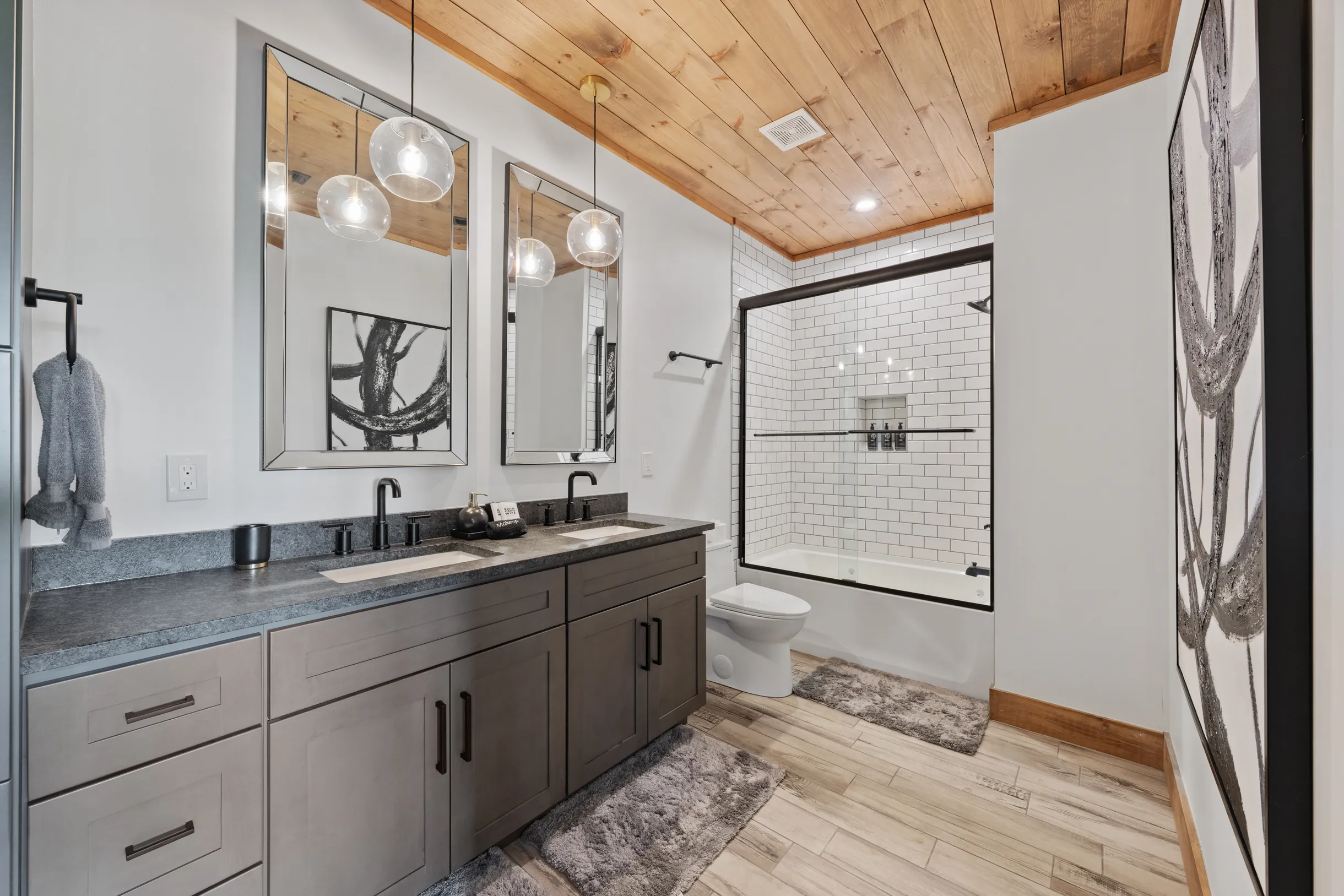 Wander Blue Ridge Stream #50