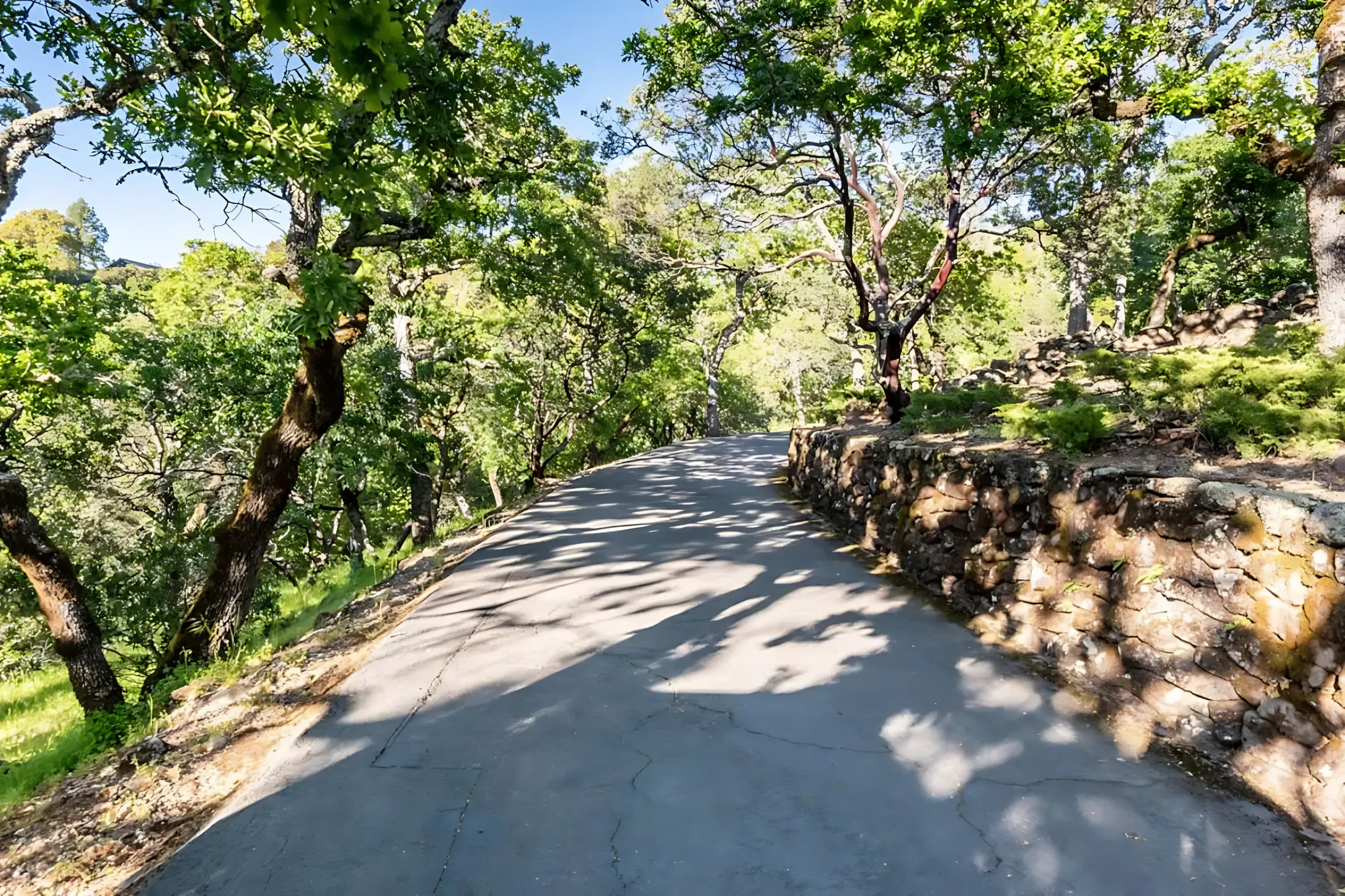 Wander Sonoma Haven #36