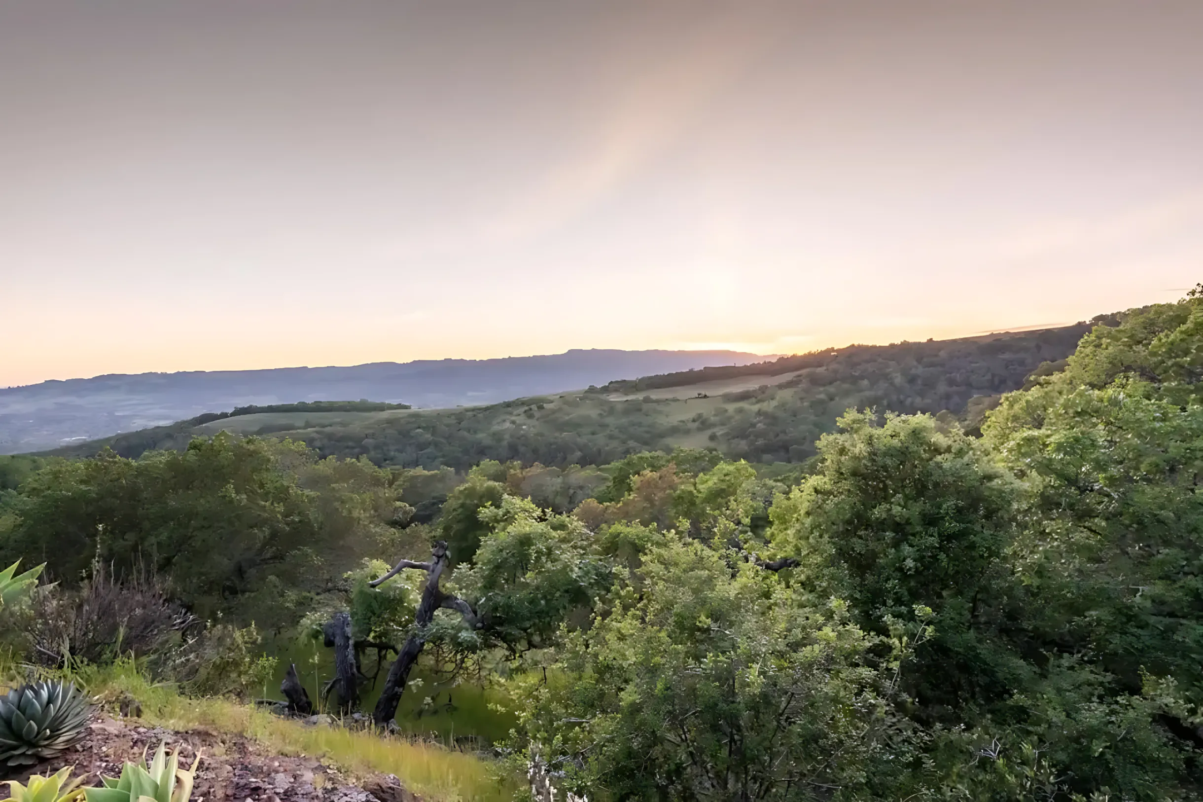 Wander Sonoma Haven #30