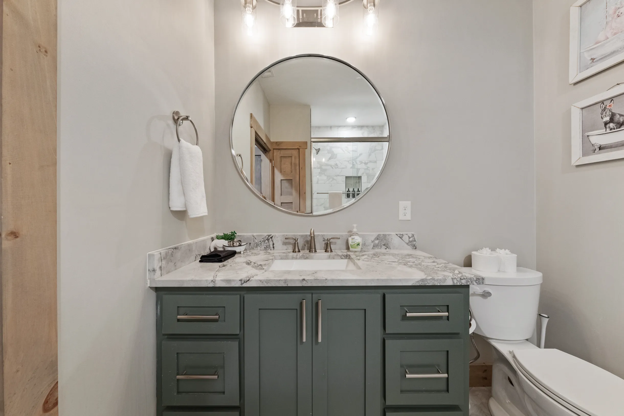 Wander Georgia Bears #14