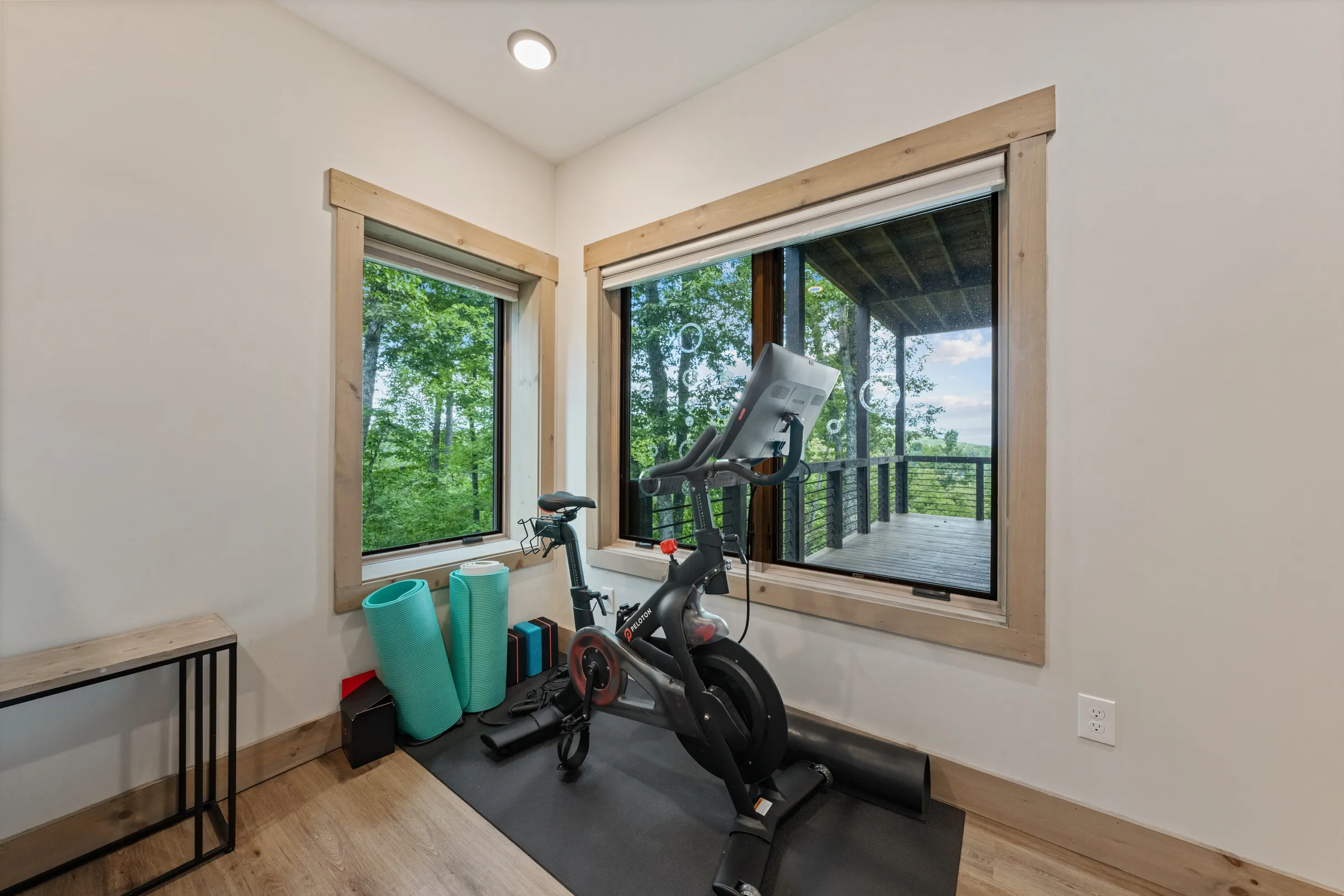 Wander Georgia Bears #66