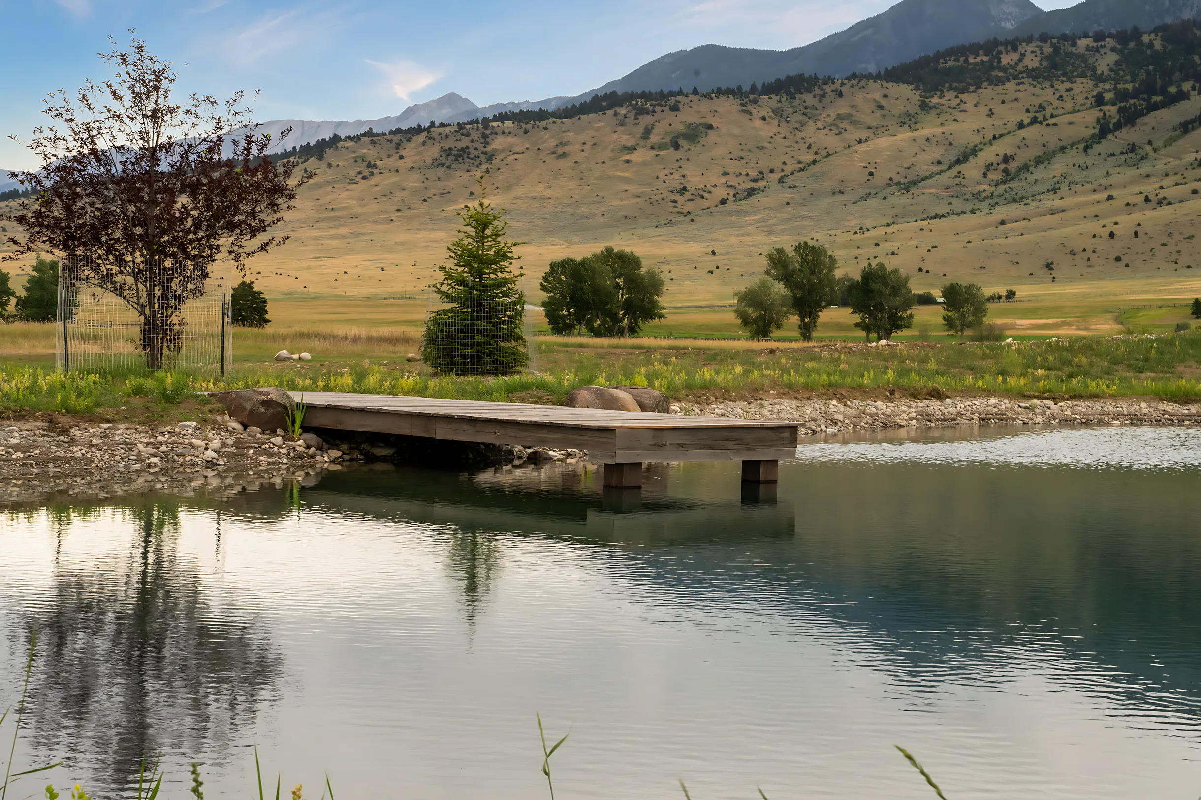 Wander Livingston Creek #141