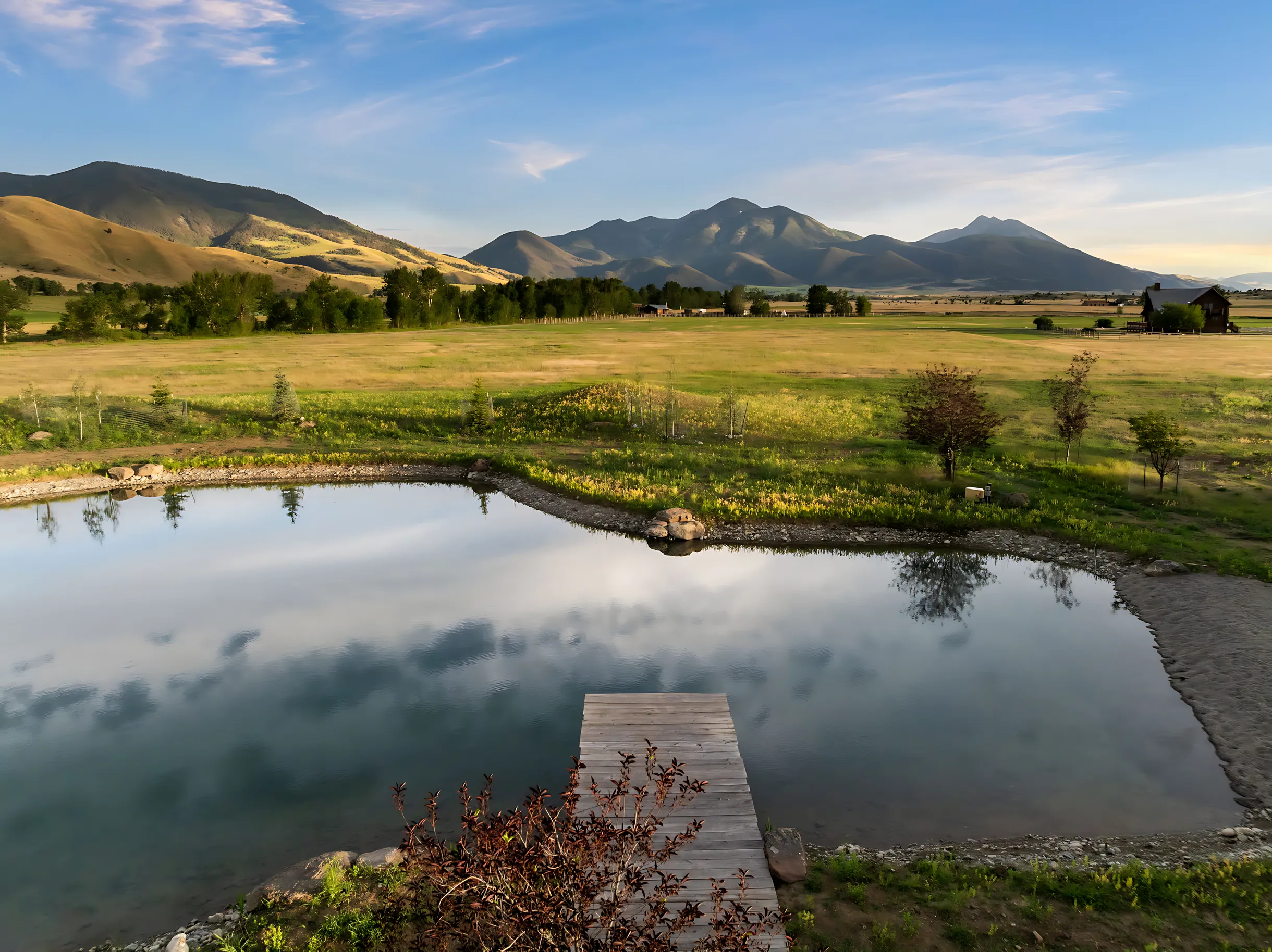 Wander Livingston Creek #94