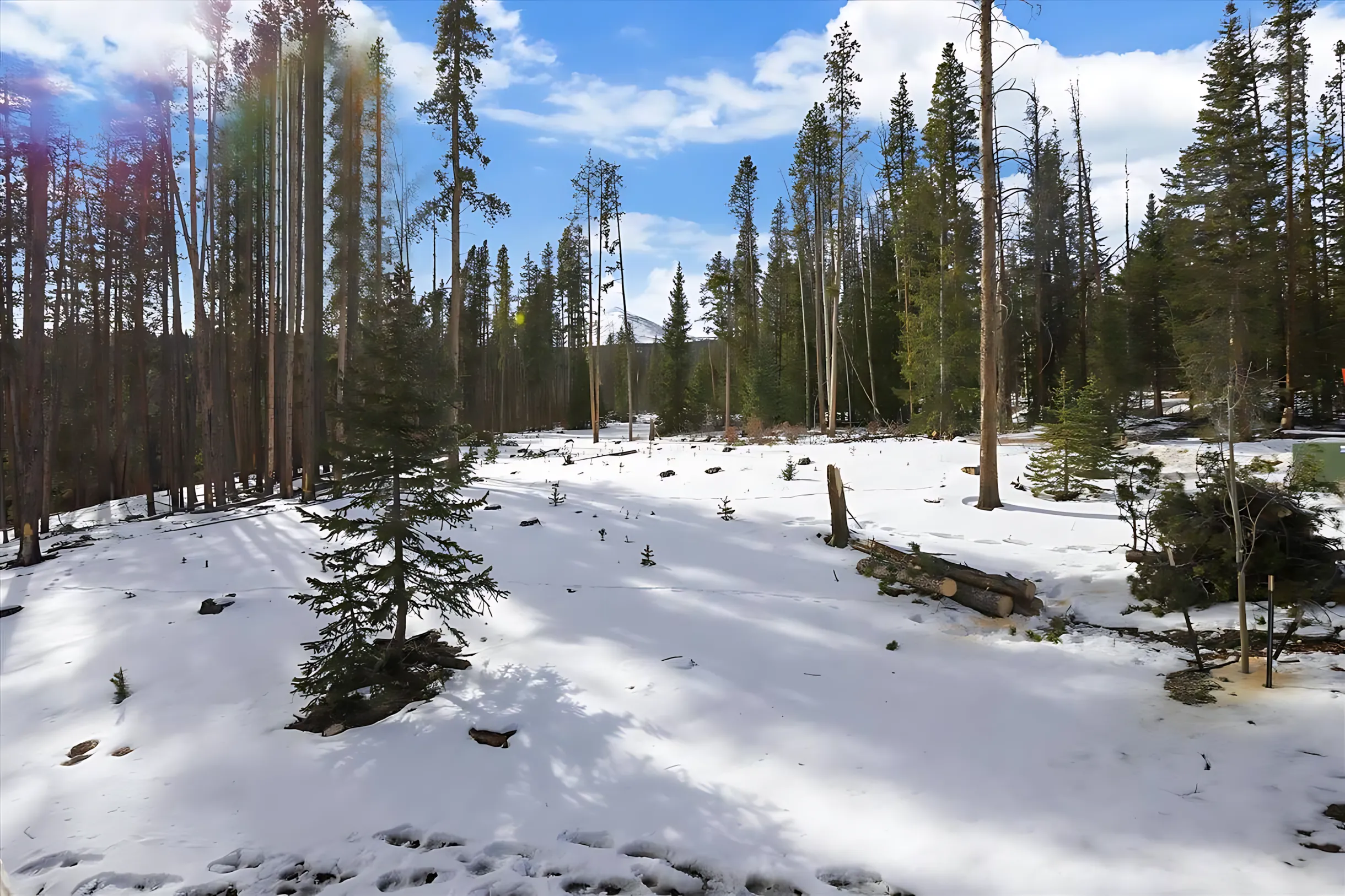 Wander Breckenridge Creek #55