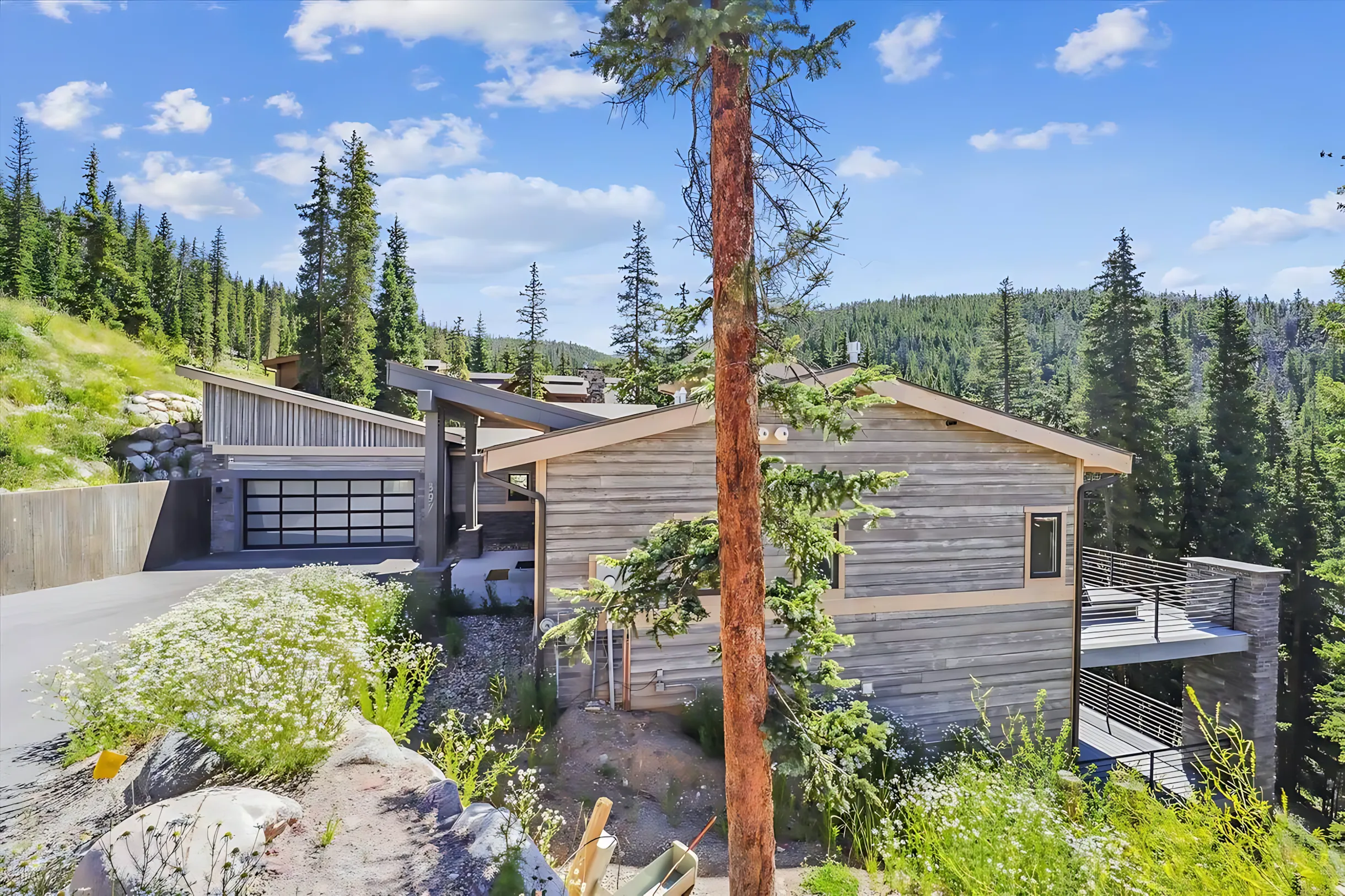 Wander Breckenridge Golden #41