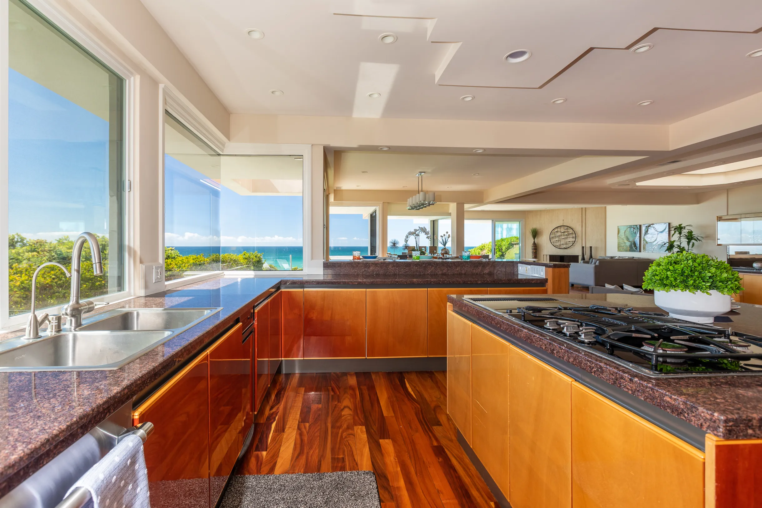 Wander Encinitas Coast #35