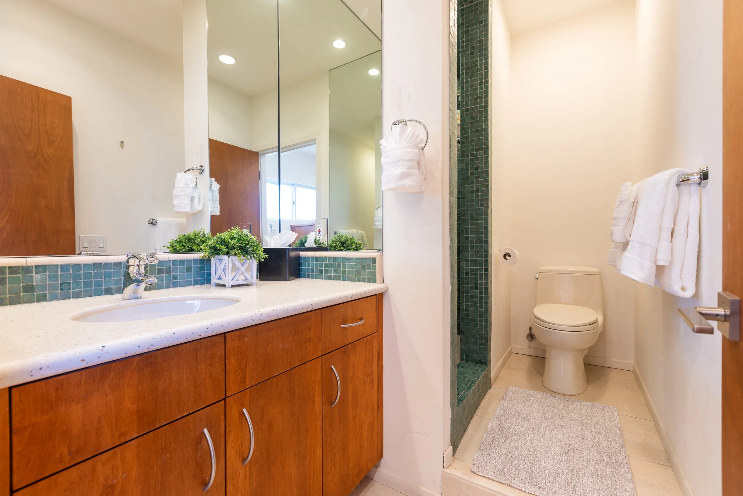 Wander Encinitas Coast #12