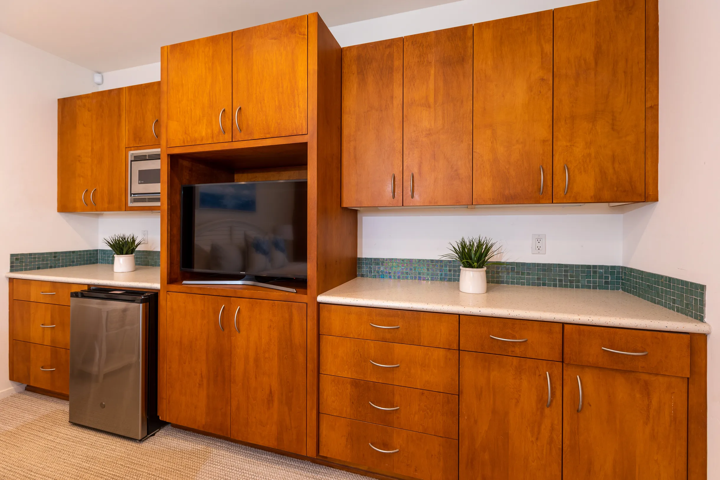 Wander Encinitas Coast #56