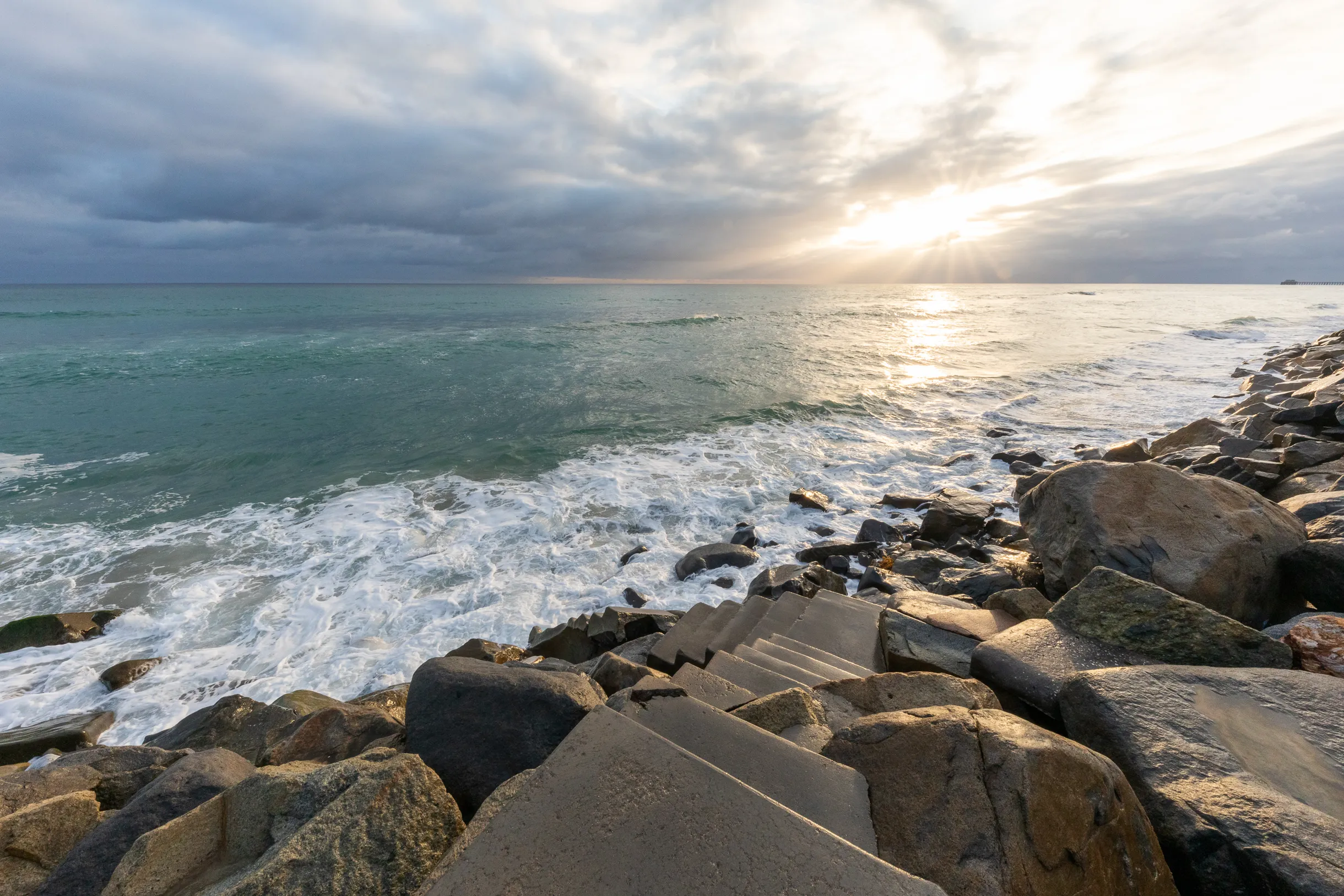 Wander Oceanside Oasis #54