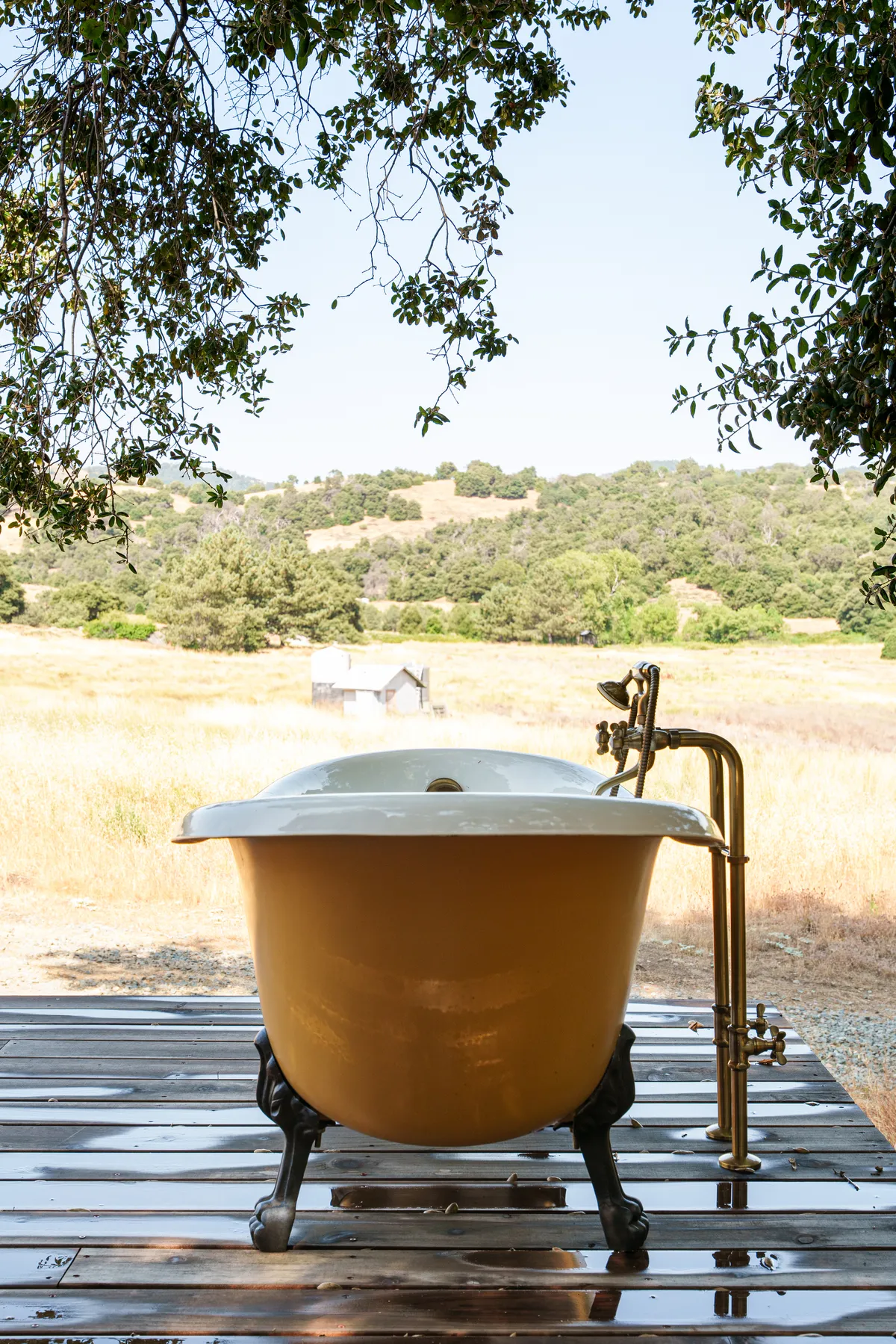 Wander Julian Creek #8