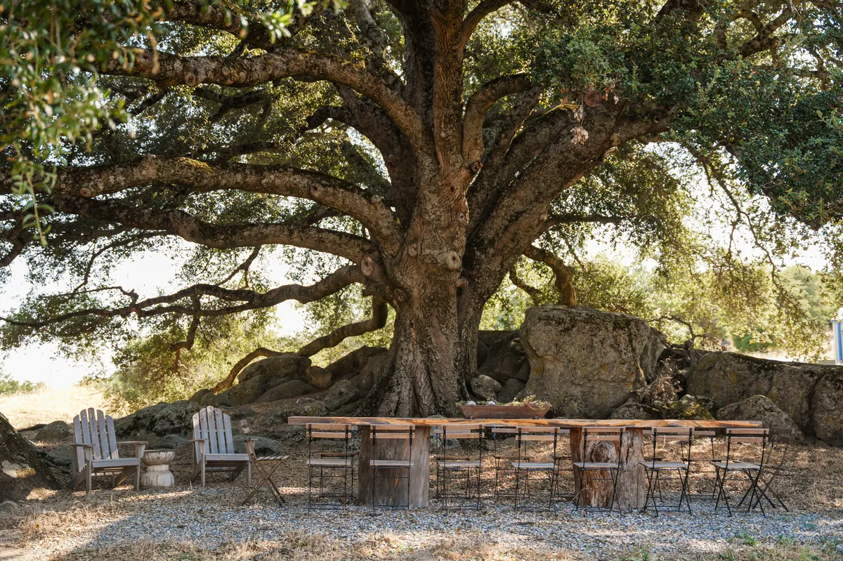 Wander Julian Creek #52