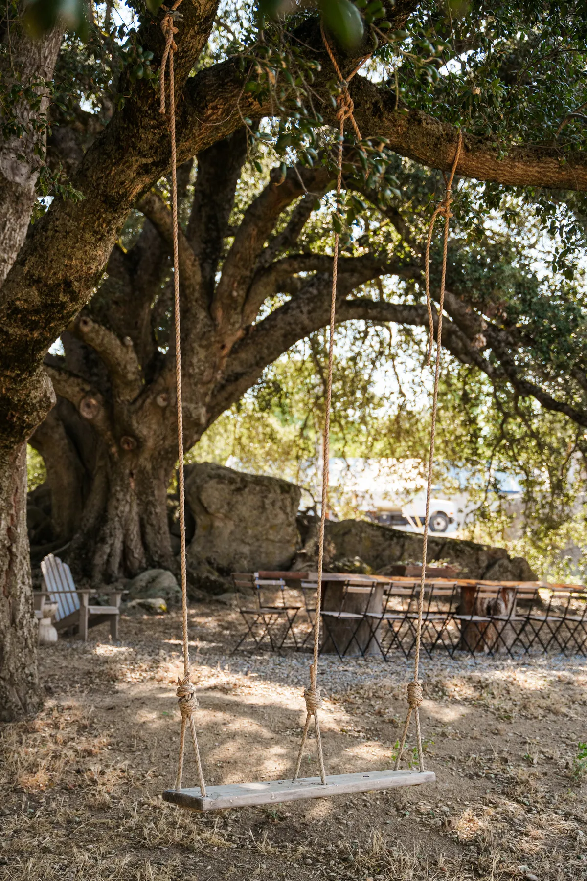 Wander Julian Creek #54