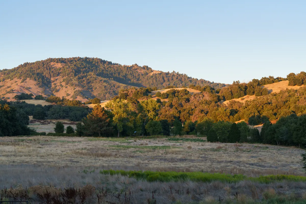 Wander Julian Creek #53