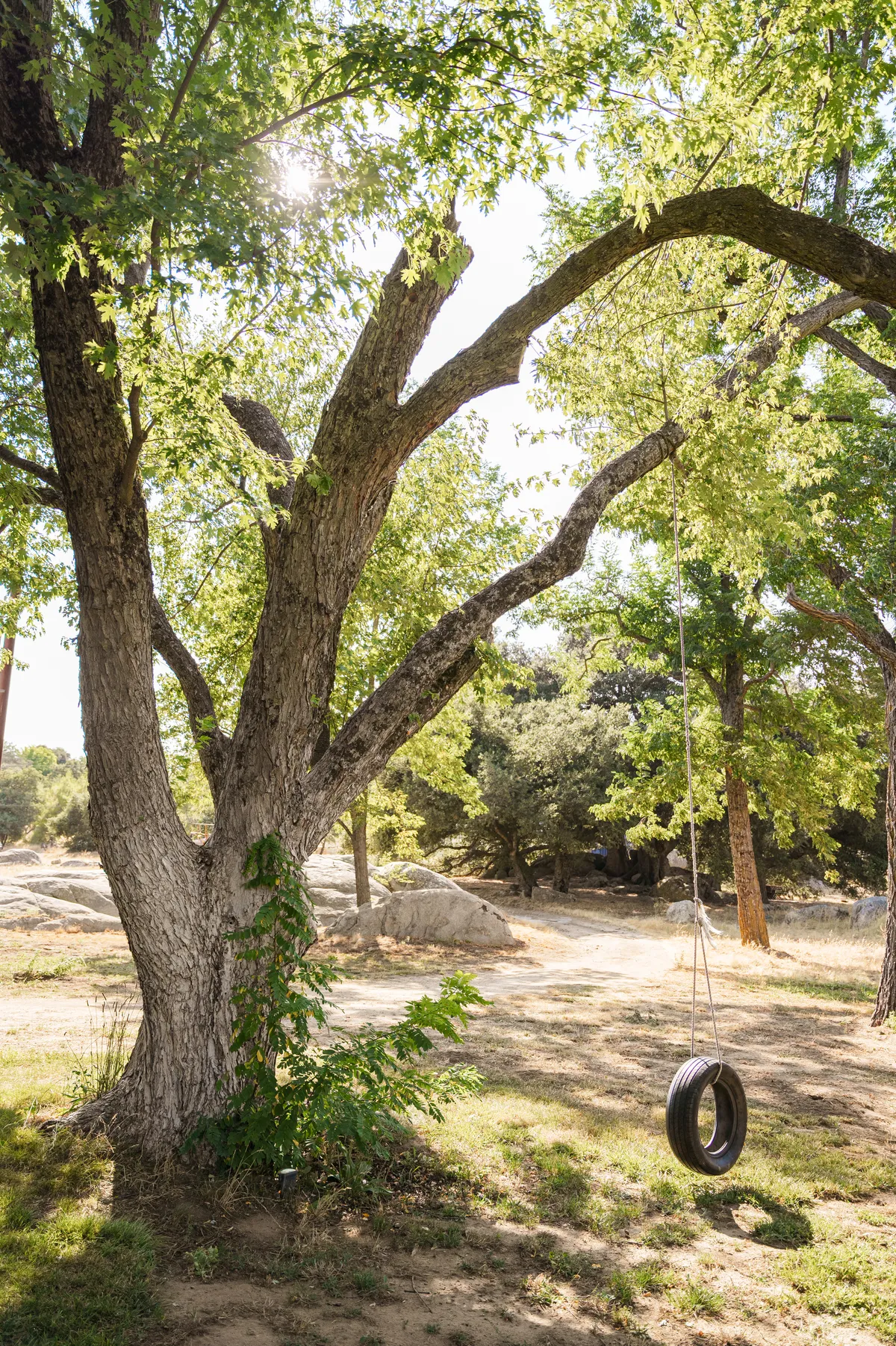 Wander Julian Creek #51