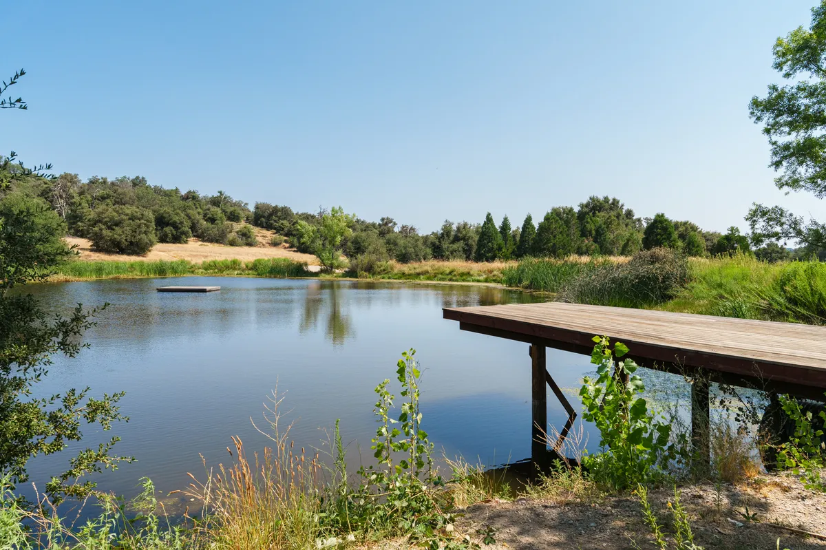 Wander Julian Creek #46