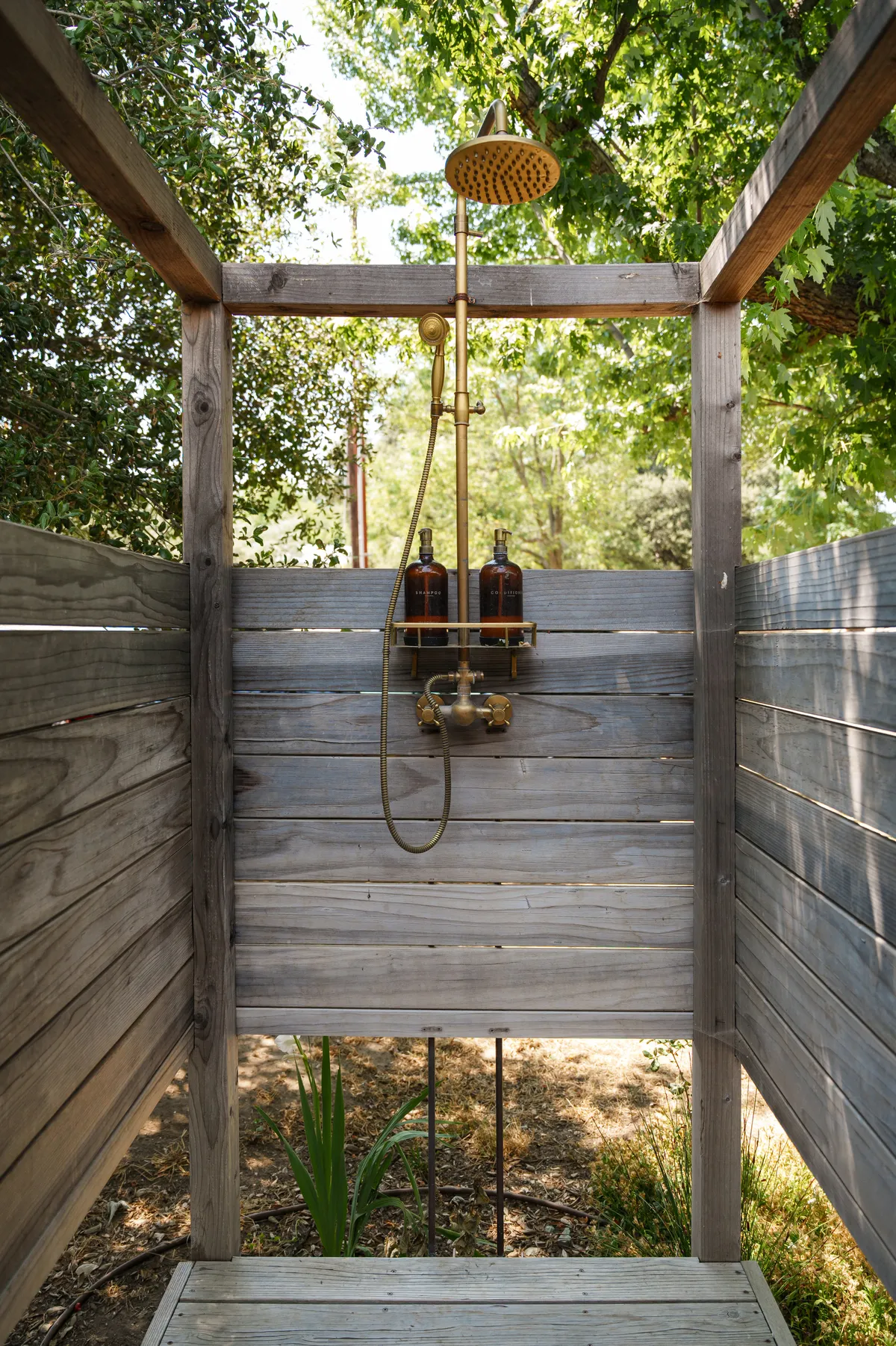 Wander Julian Creek #45