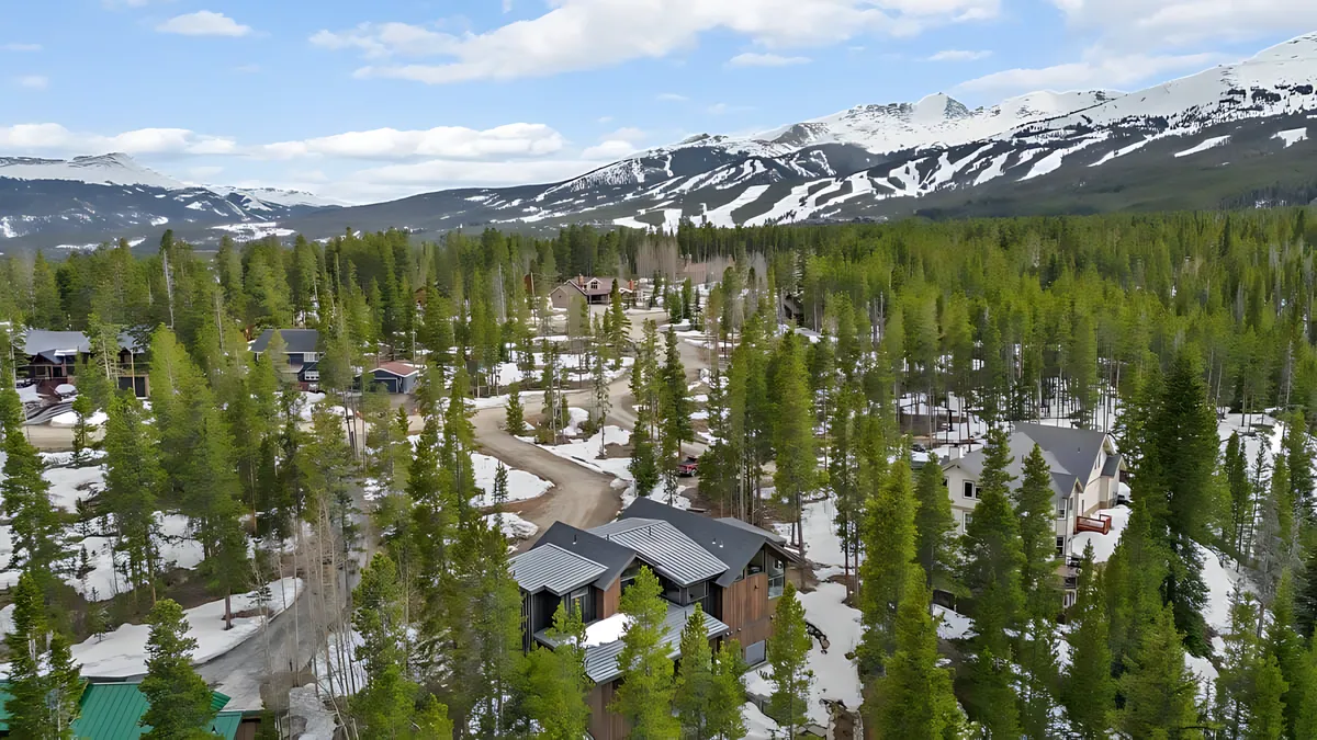 Wander Breckenridge Forest #59
