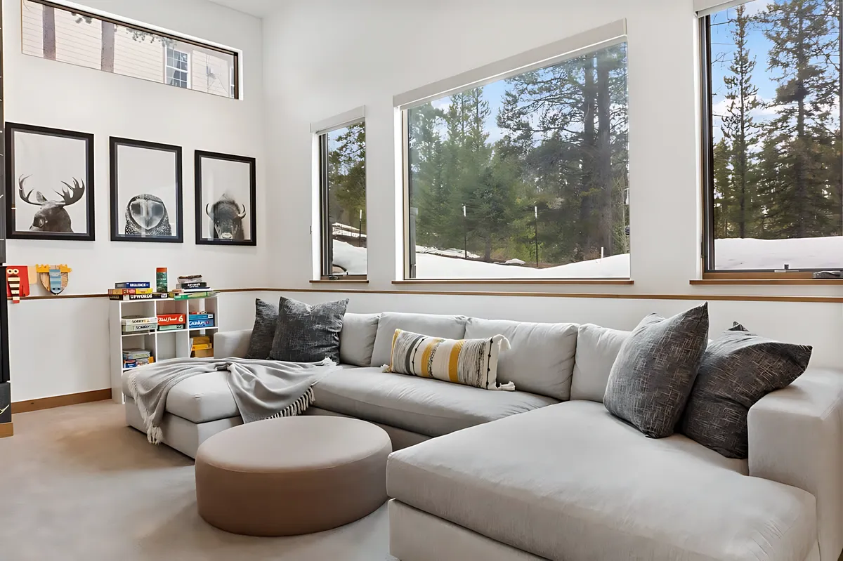 Wander Breckenridge Forest