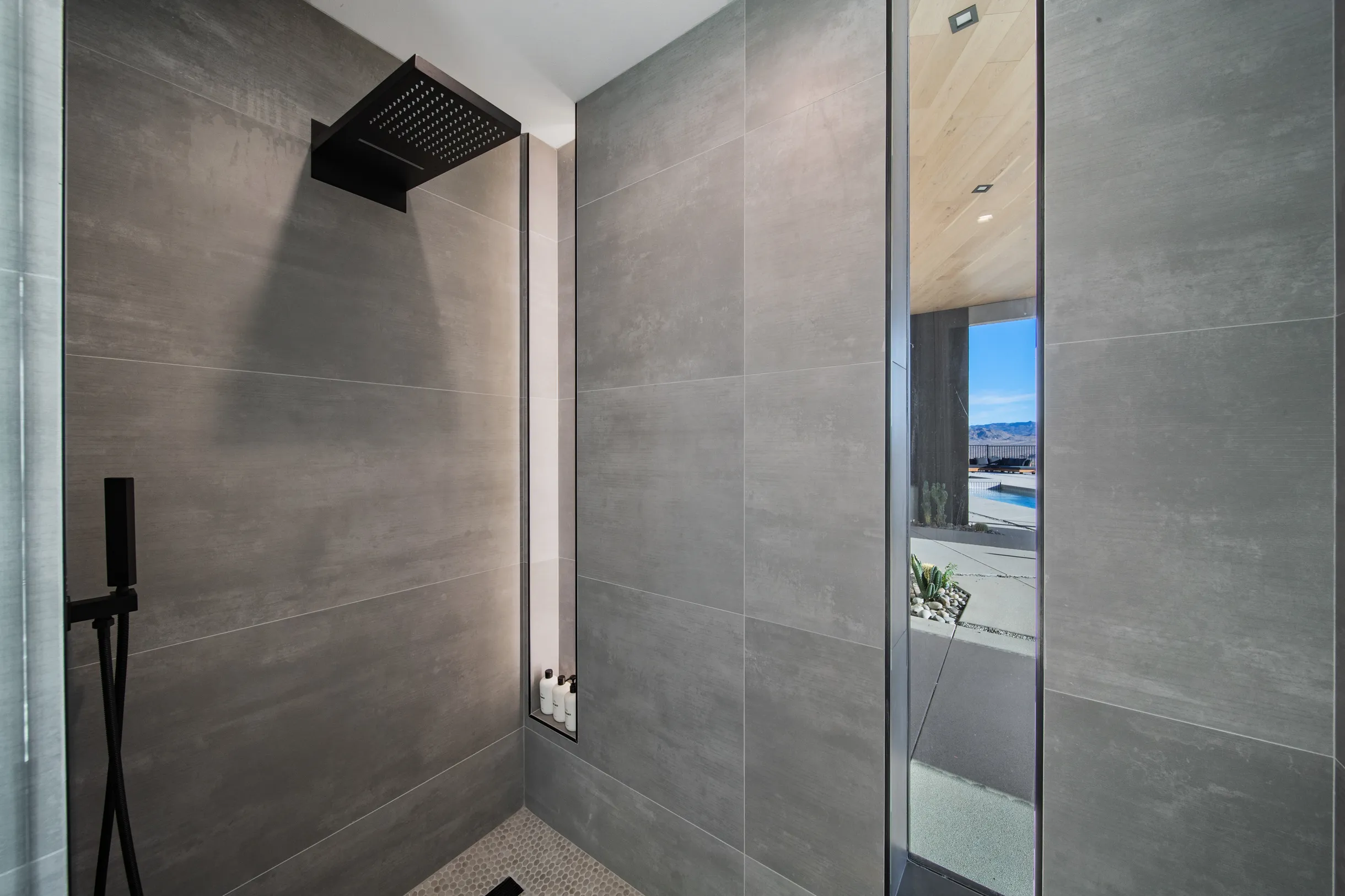 Wander Joshua Tree Elysium #57