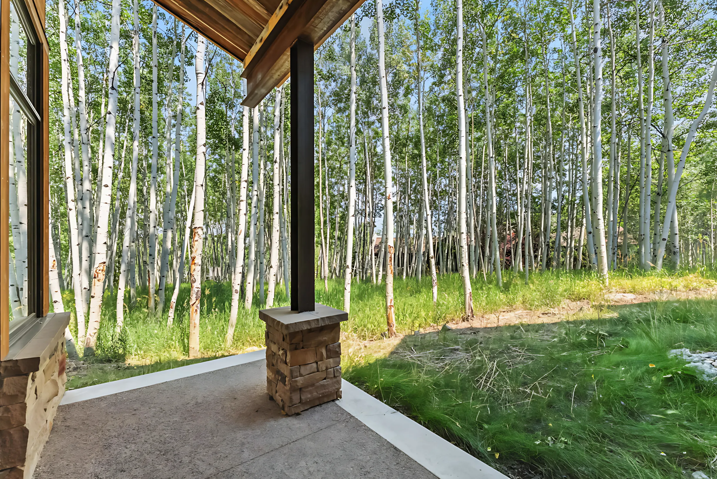 Mountain Dream Home #56