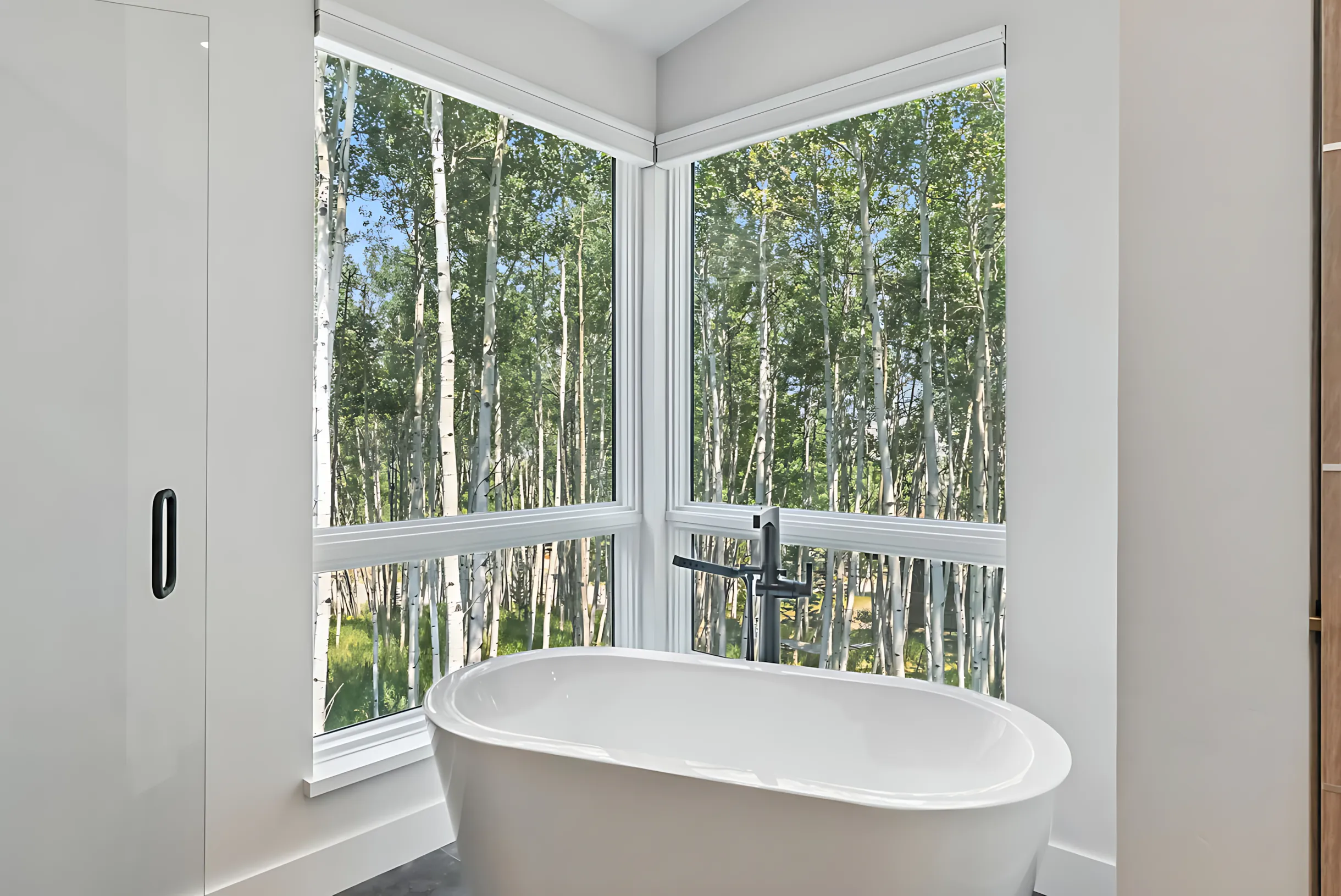 Mountain Dream Home #50