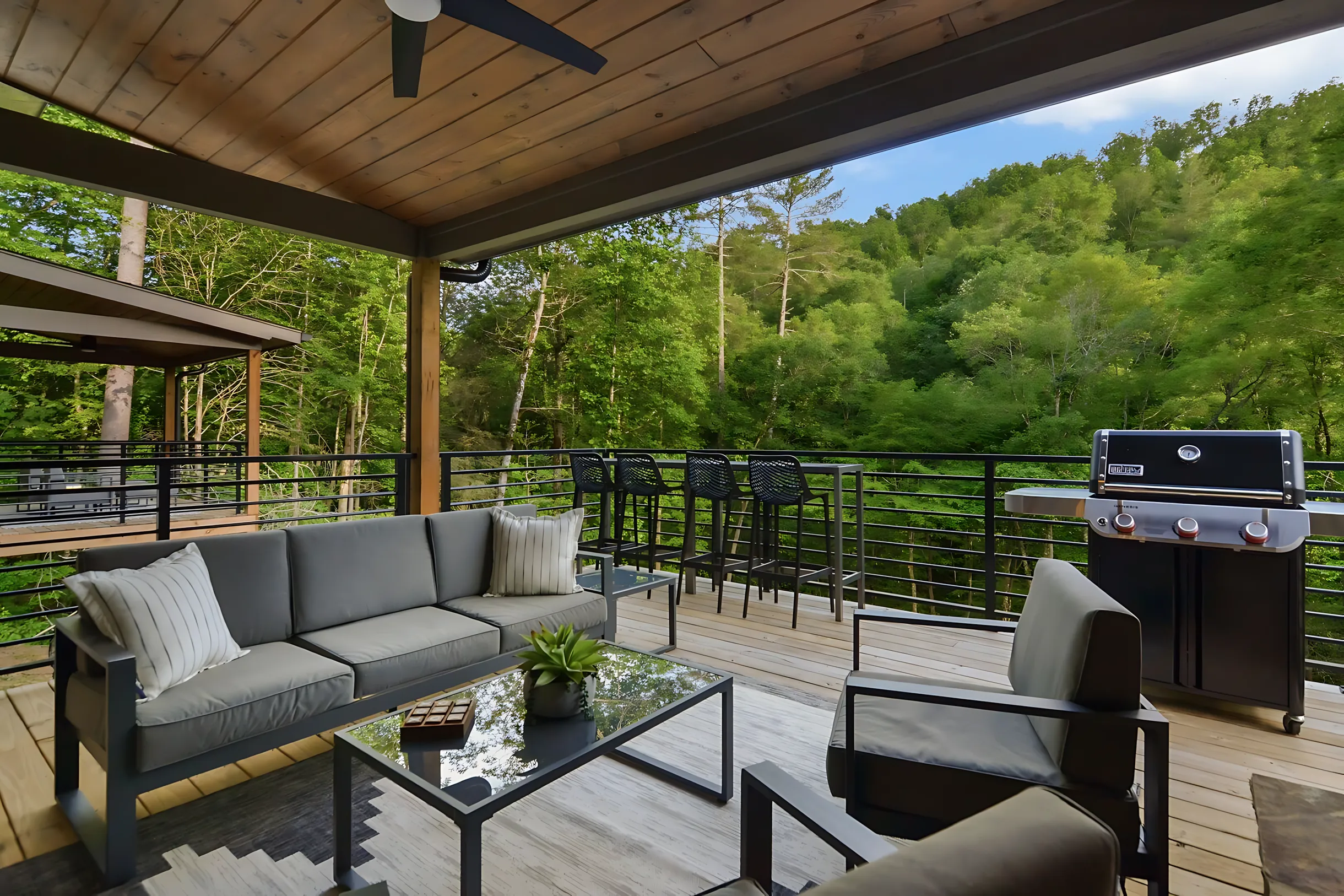 Wander Blue Ridge Creek #31