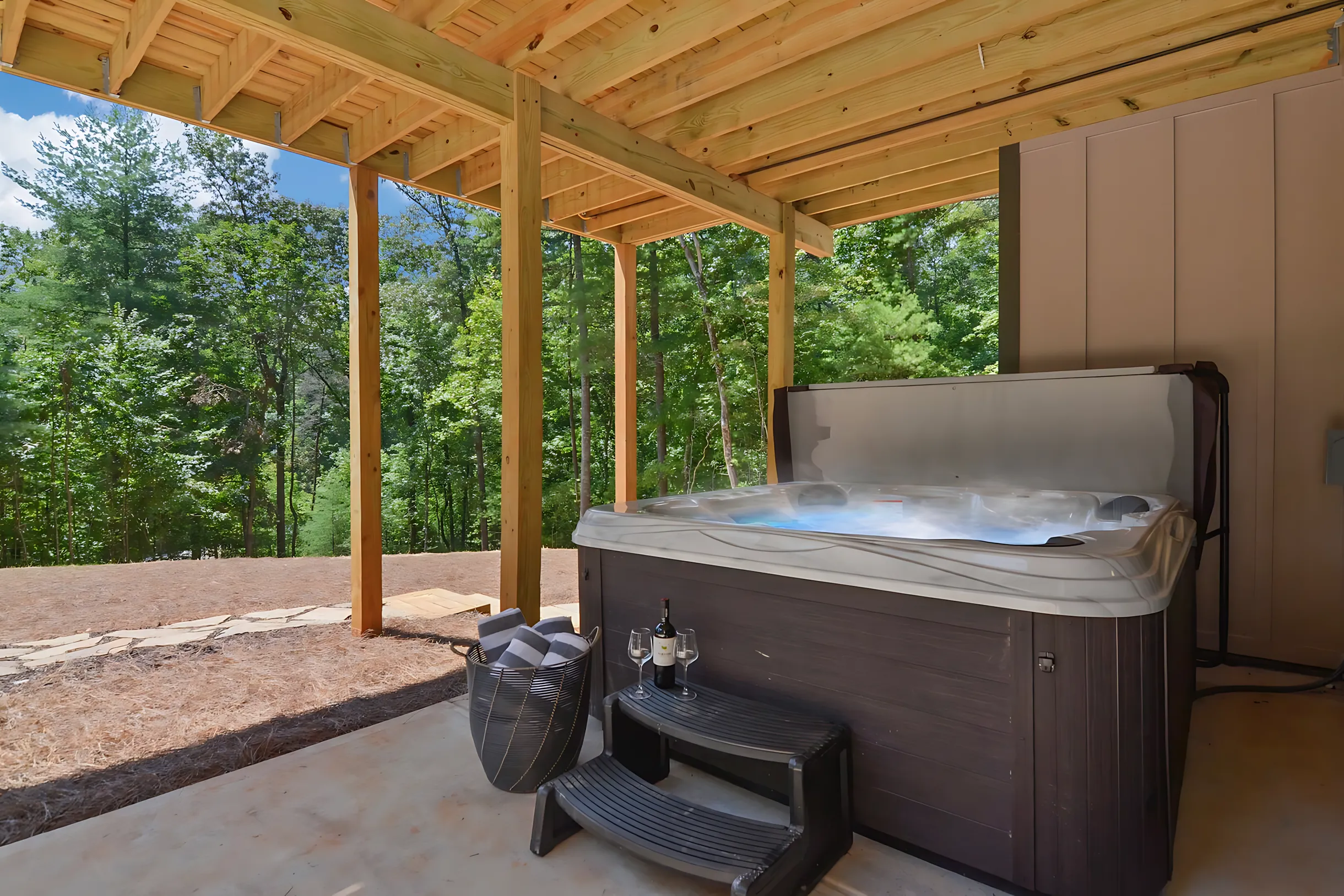 Wander Blue Ridge Starlight #45