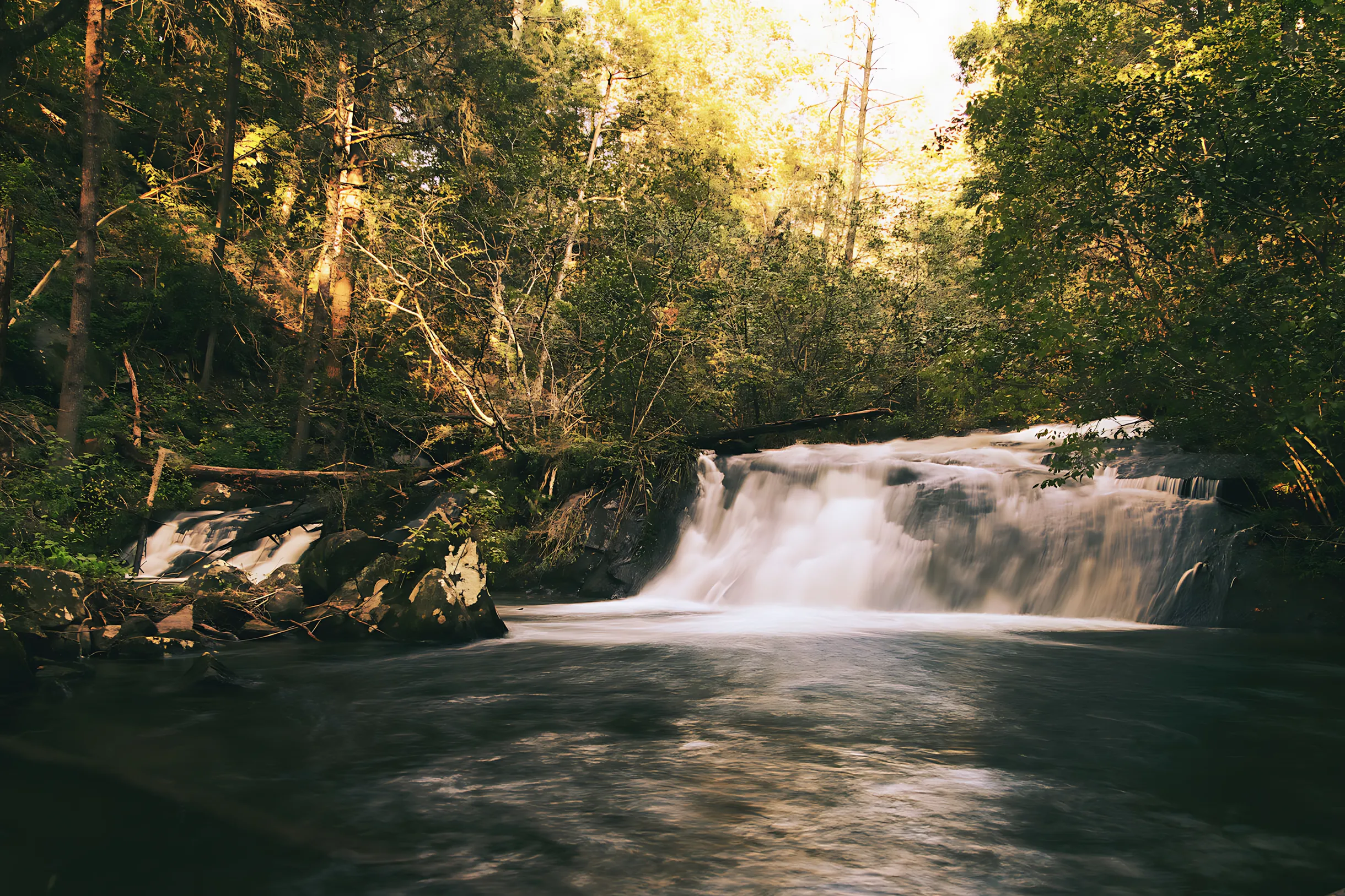 Wander Blue Ridge Falls #41