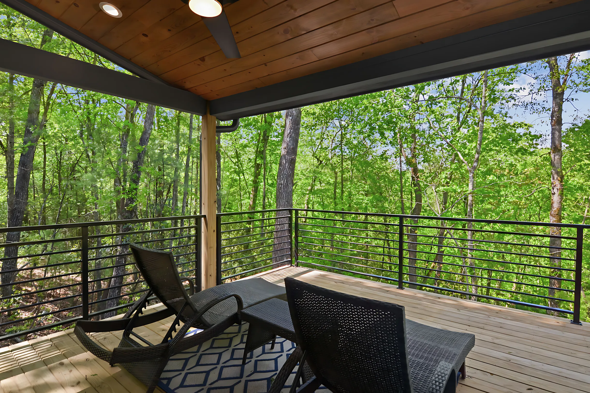 Wander Blue Ridge Woods #13