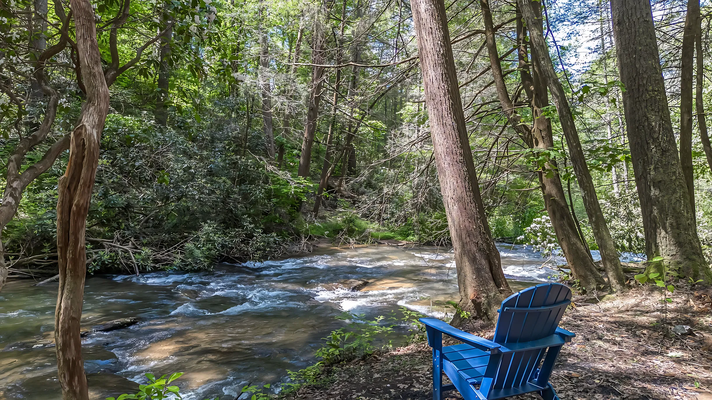 Wander Blue Ridge Cascade #5