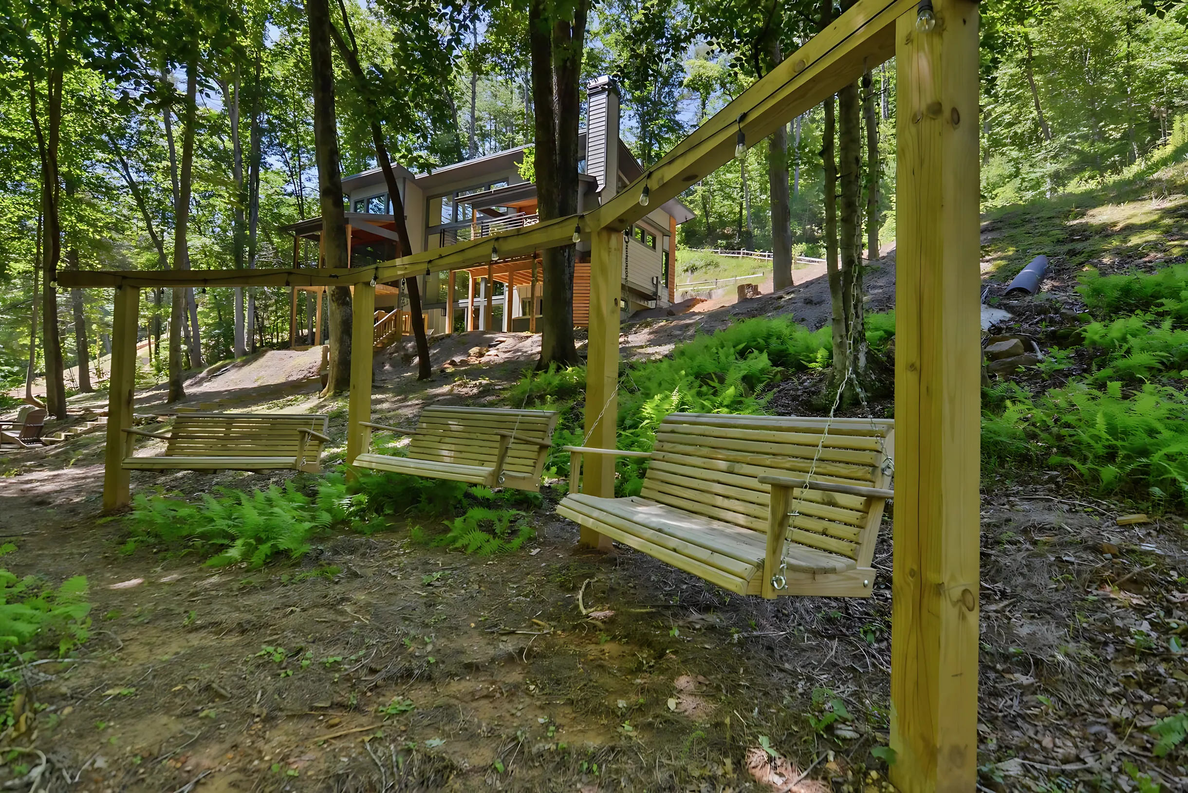 Wander Blue Ridge Hollow #42