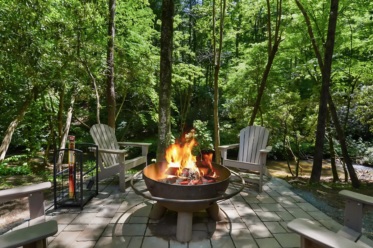 Wander Blue Ridge Hollow