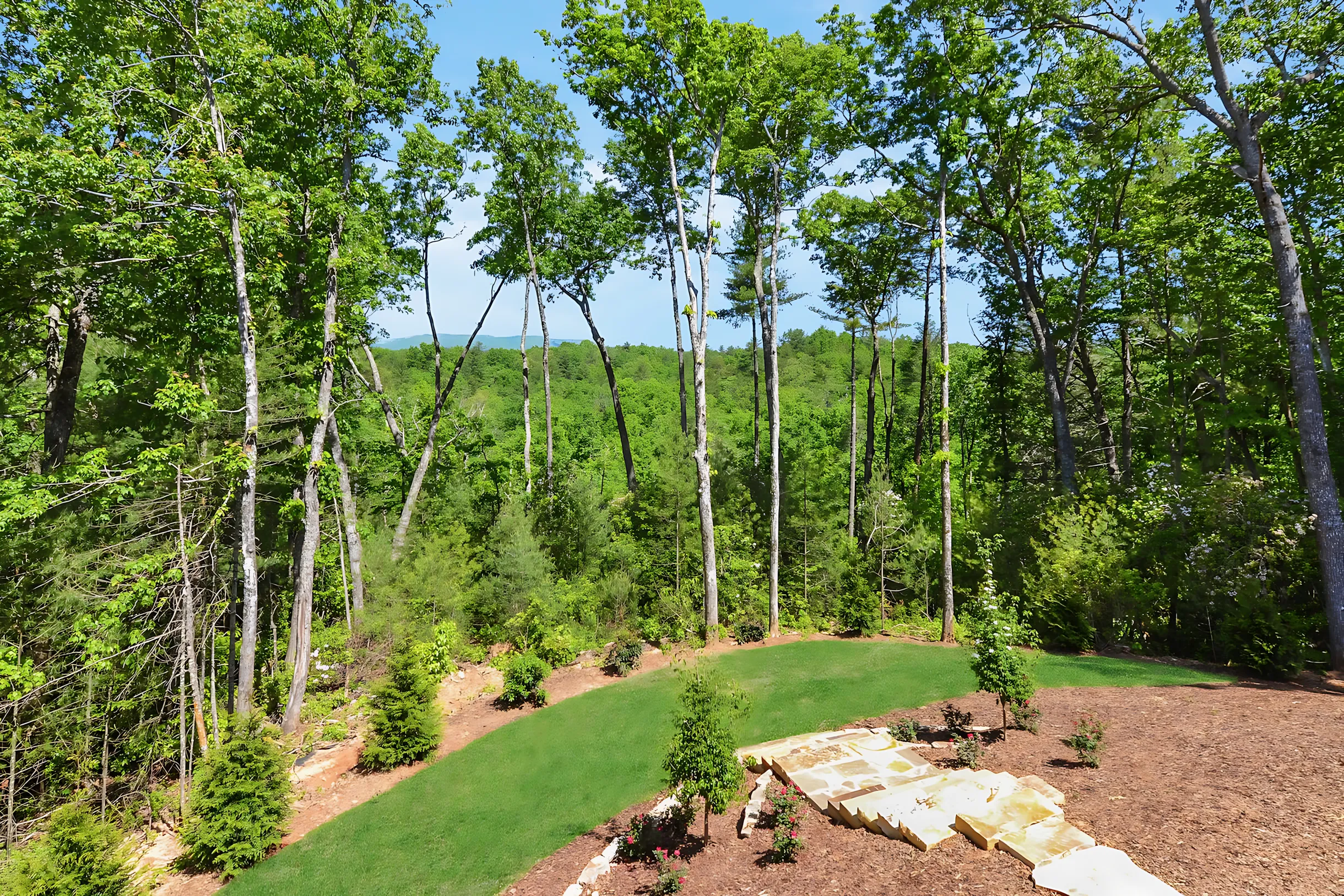 Wander Blue Ridge Grandview #42