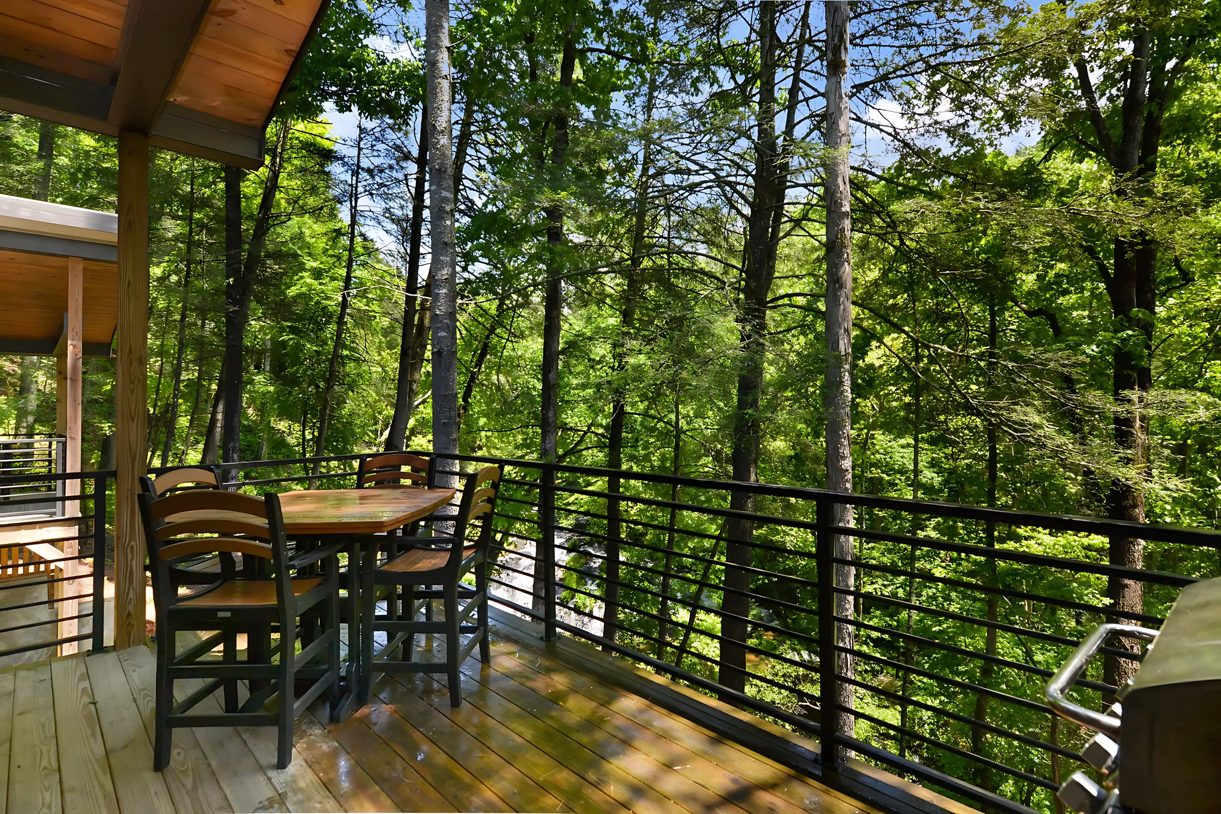 Wander Blue Ridge Waterfall #33