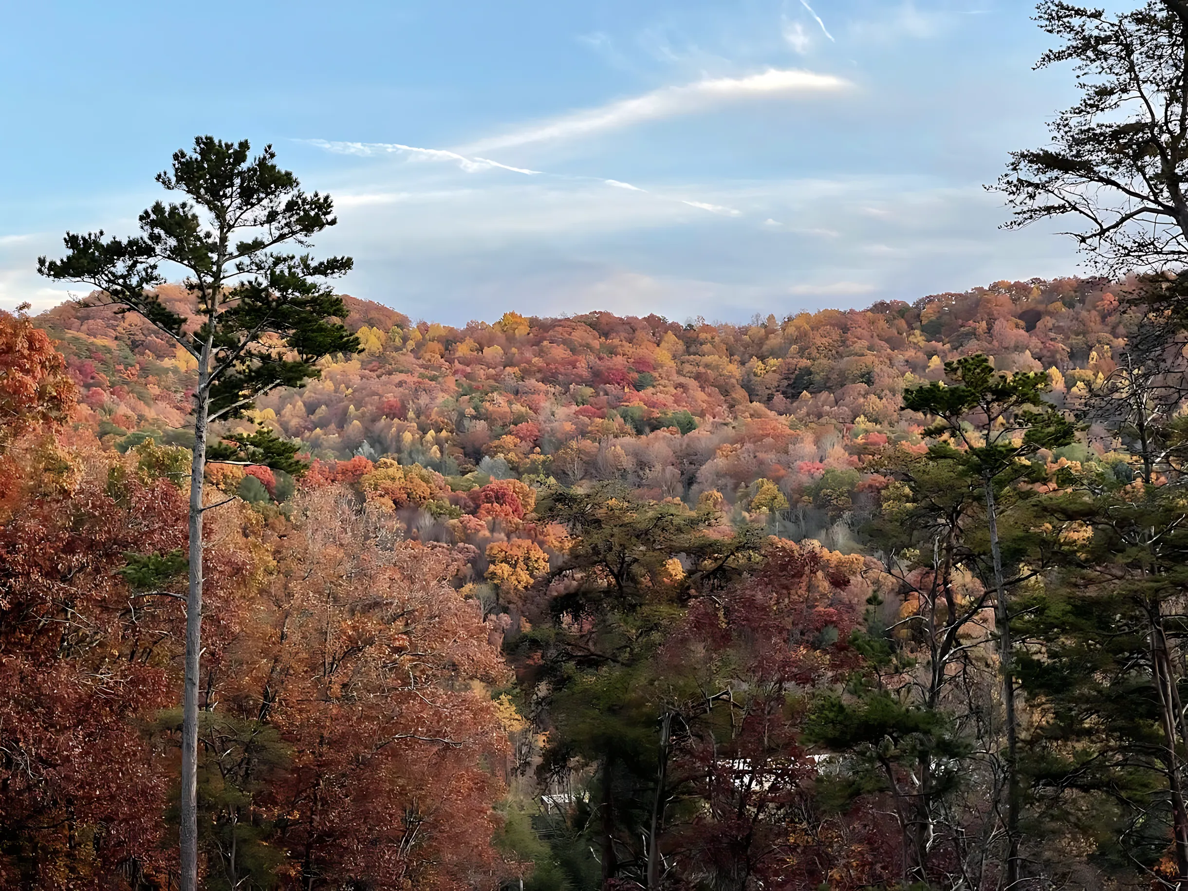 Wander Blue Ridge Weaver #45