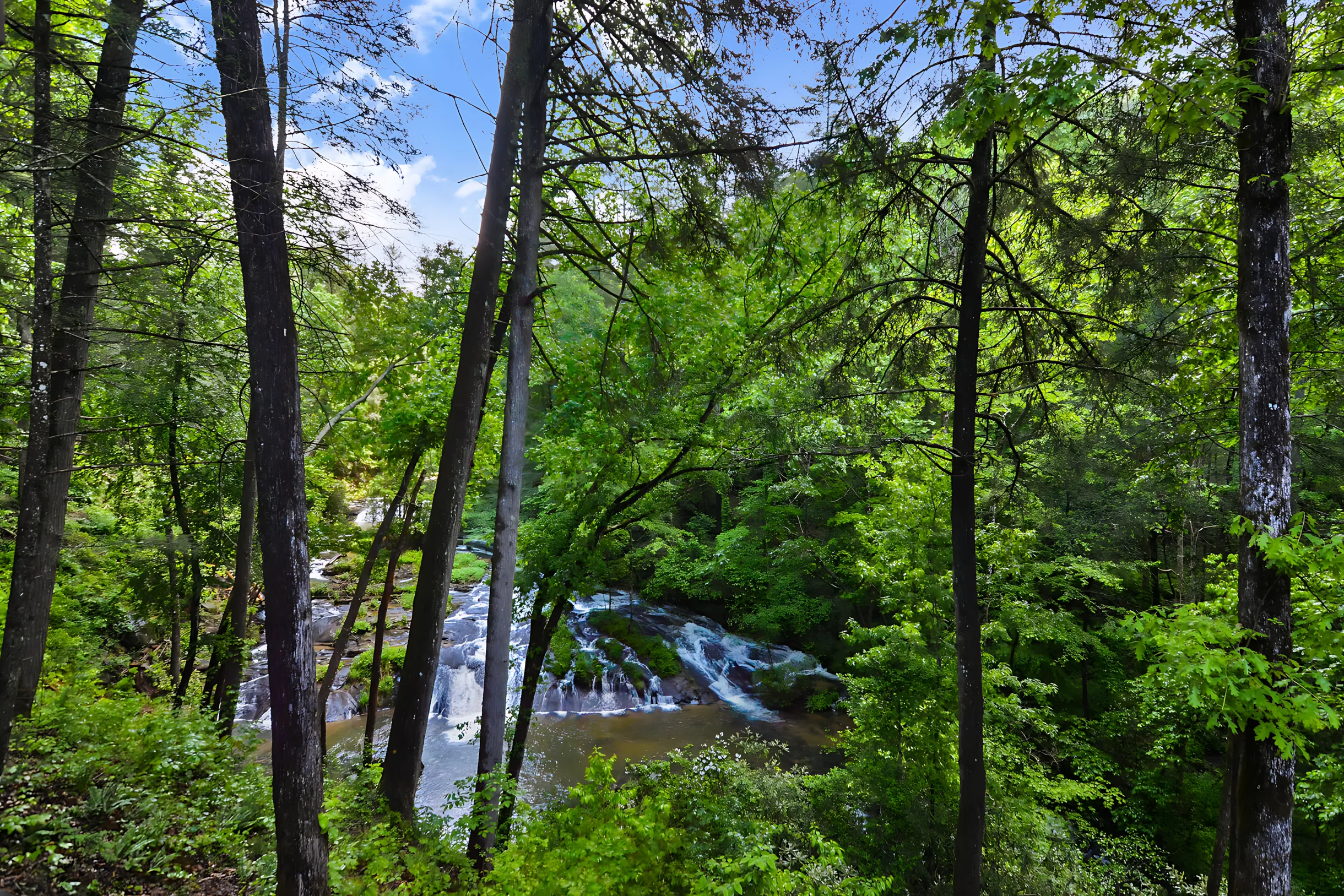 Wander Blue Ridge Waterfall #56