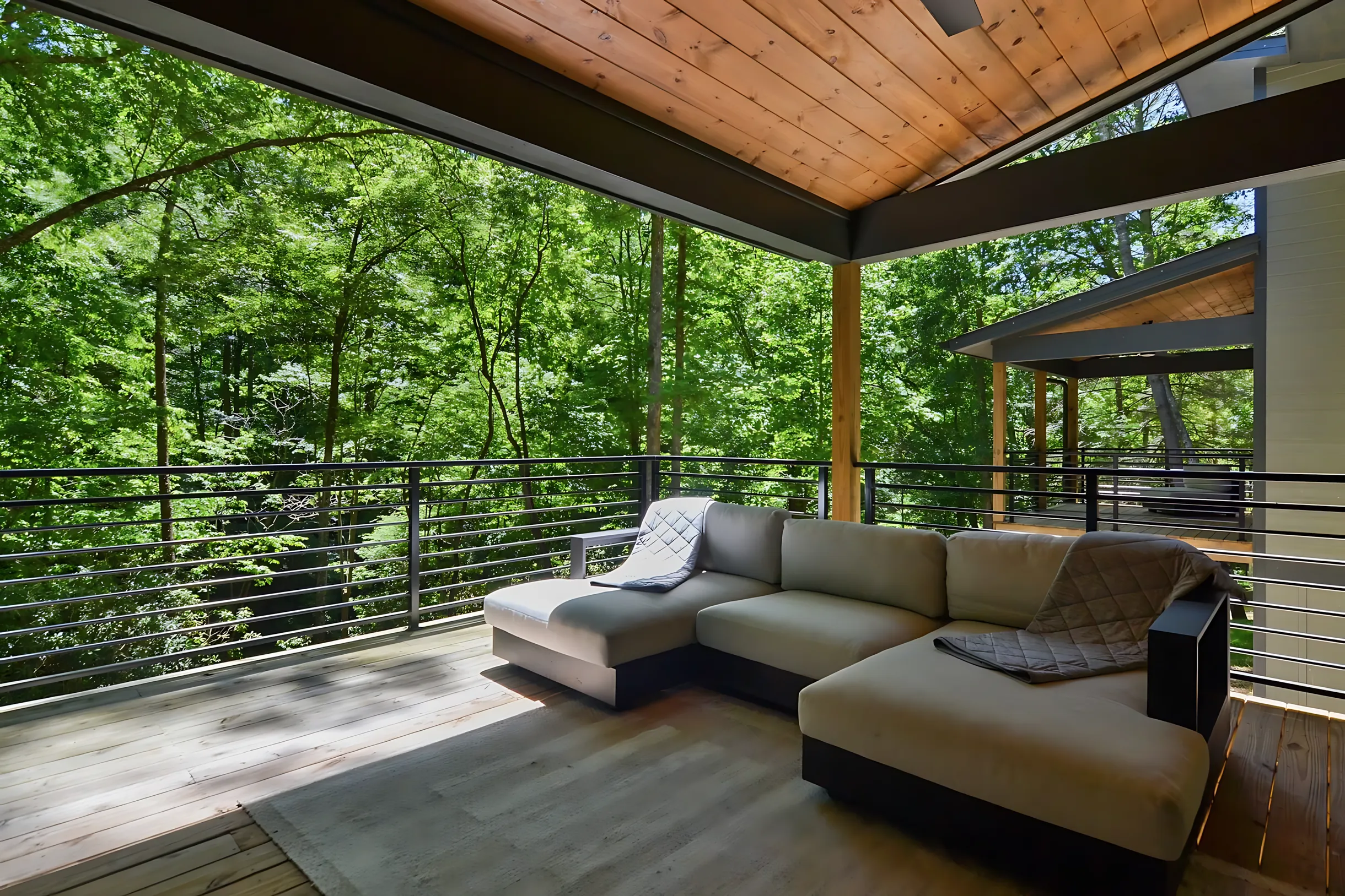 Wander Blue Ridge Hollow #26