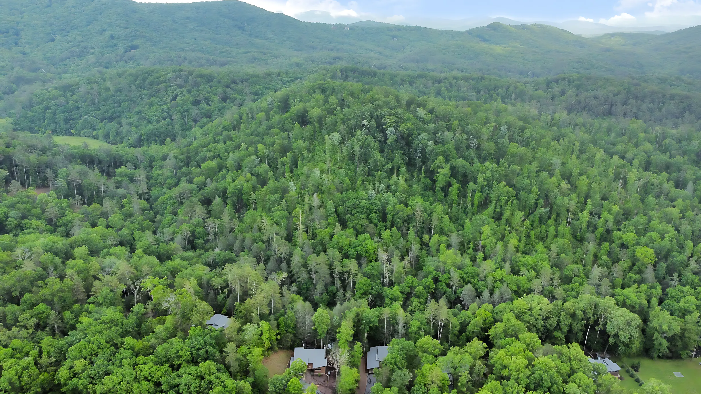 Wander Blue Ridge Waterfall #55