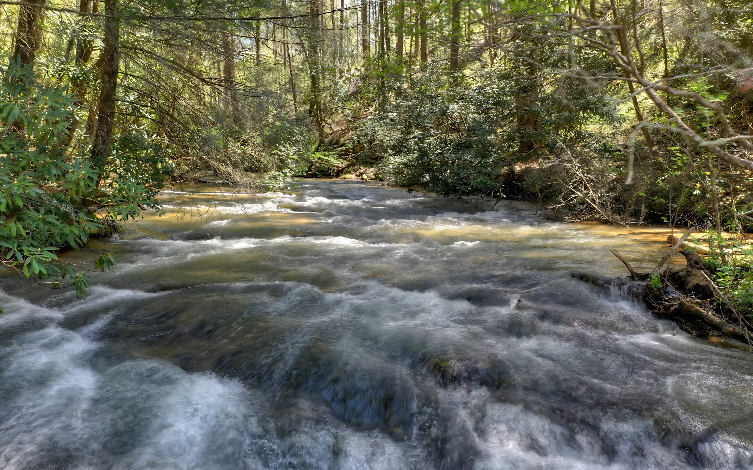 Wander Blue Ridge Waterfall #51