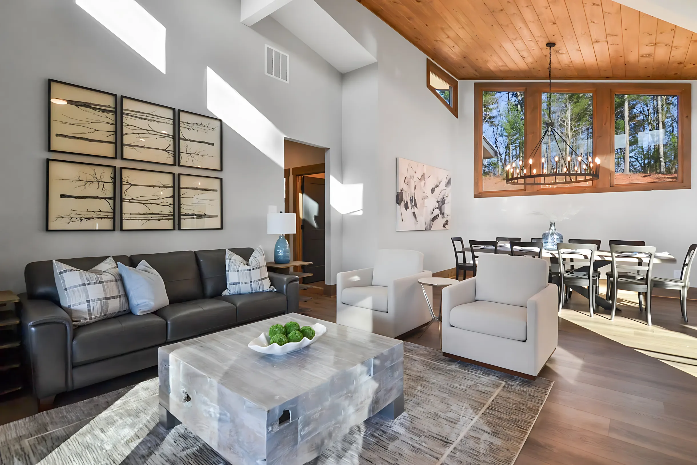 Wander Blue Ridge Cottage #35