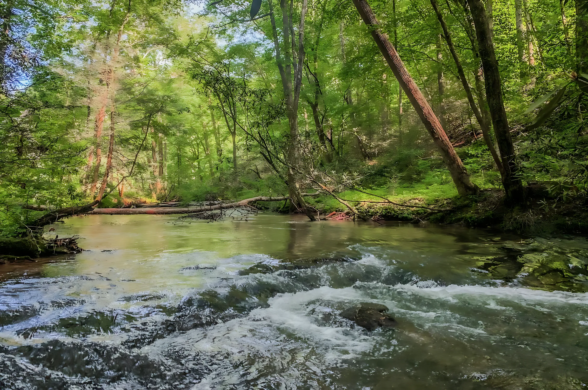 Wander Blue Ridge Mirage #51