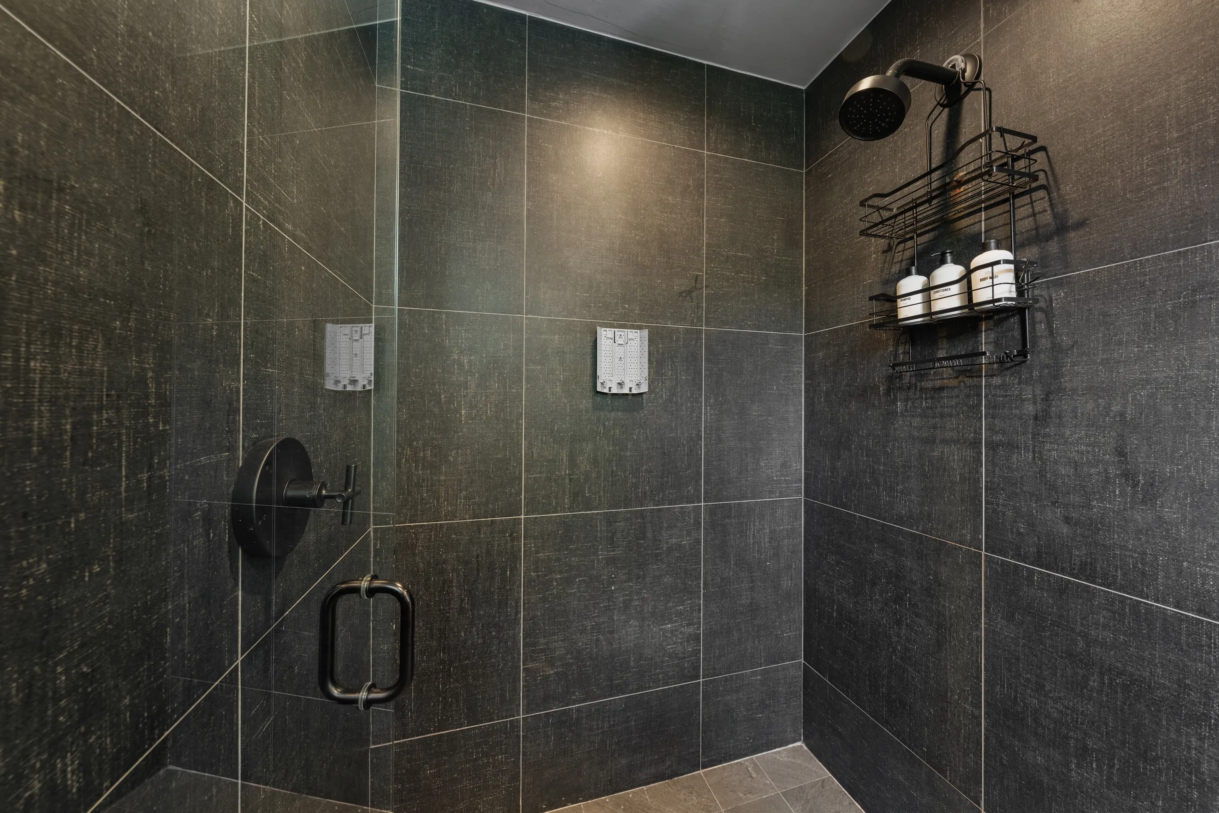 Wander Austin Grove #25