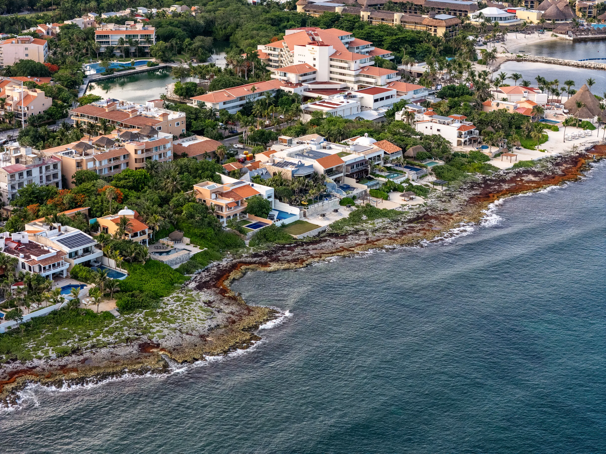 Wander Cancun Cove #97